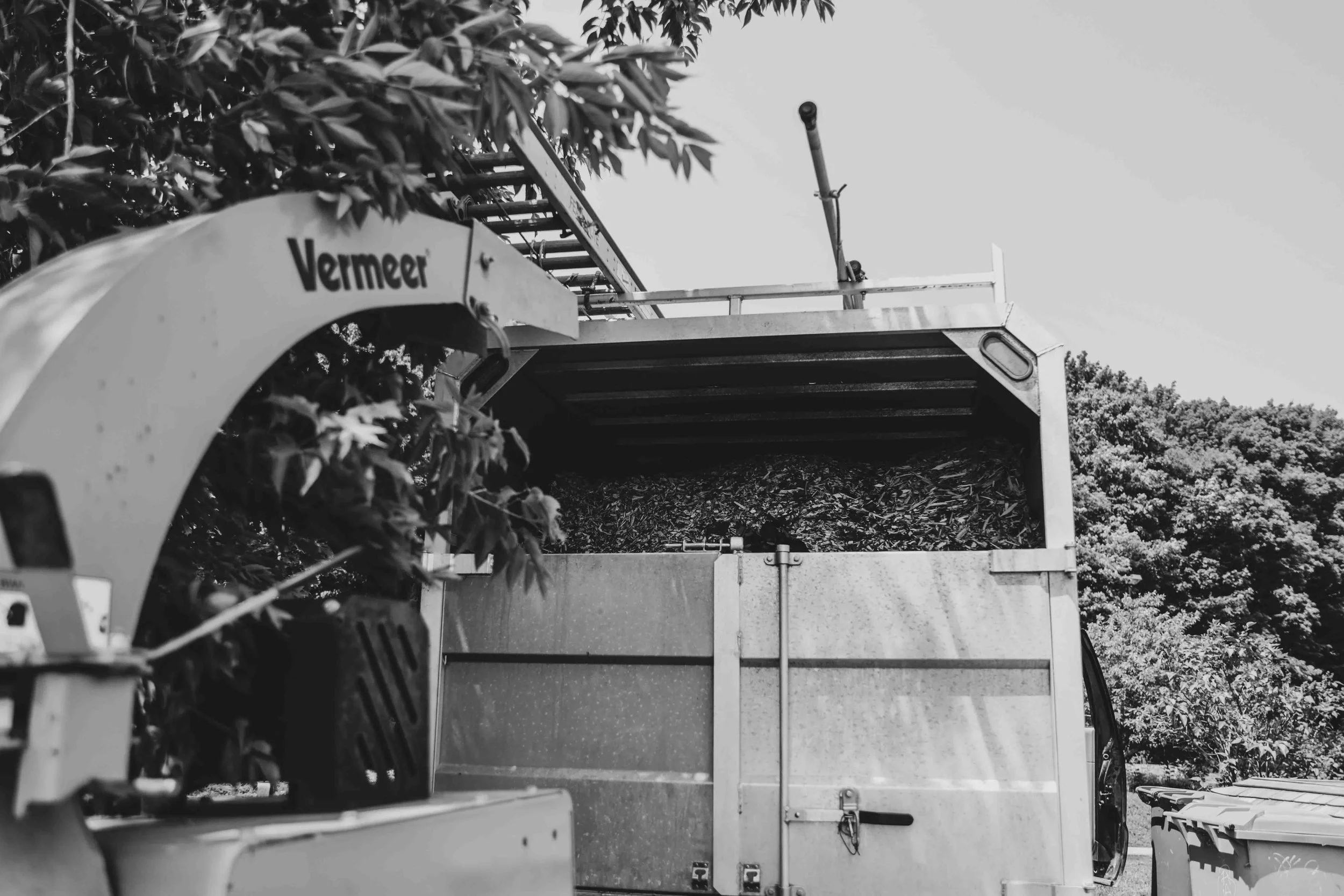 Un véhicule de transport agricole avec une remorque chargée de feuilles ou de végétation, stationné dans une zone extérieure avec des arbres en arrière-plan, le tout en noir et blanc.