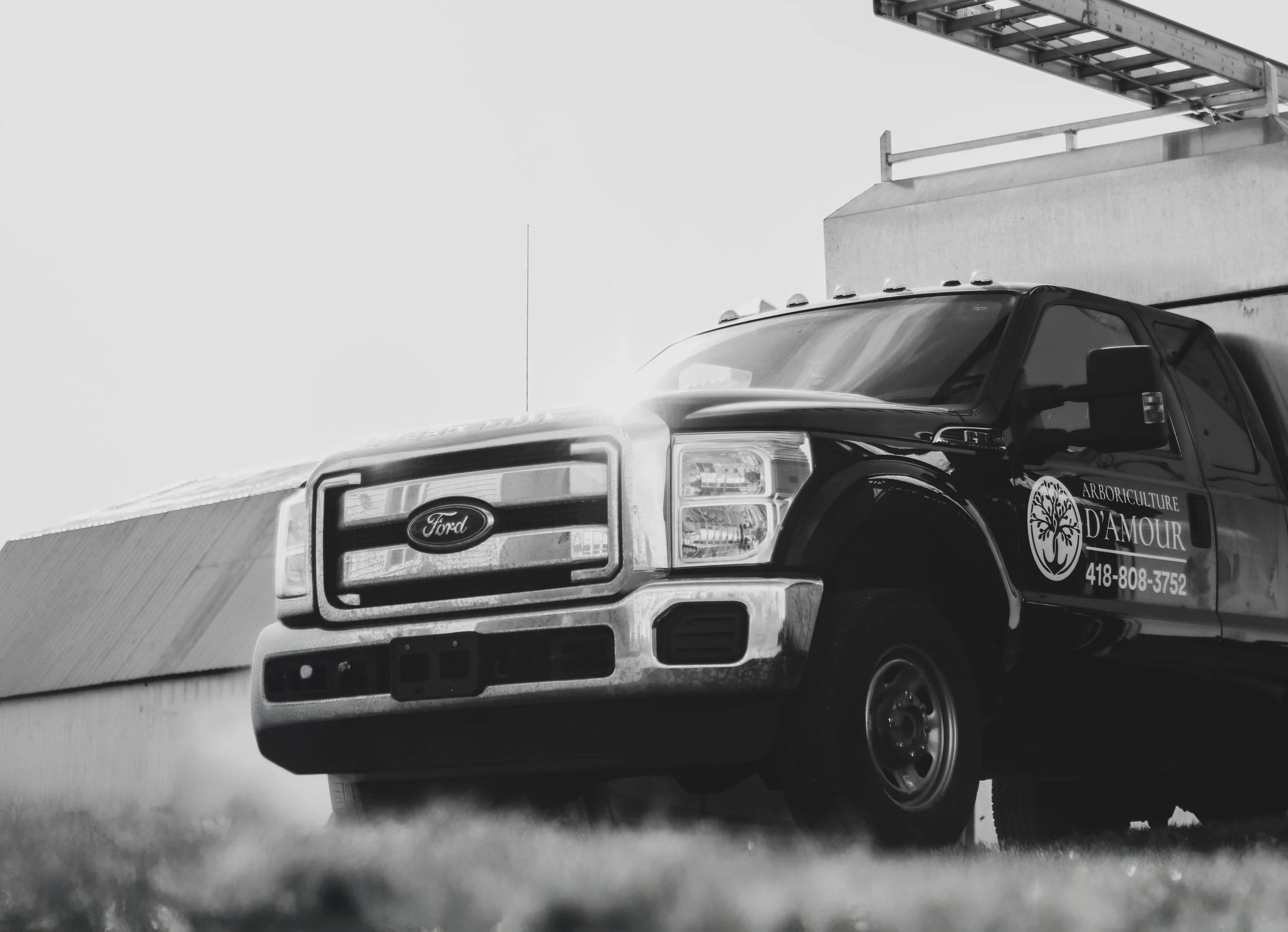 Un camion noir avec un logo d'Arboriculture d'Amour stationné près d’un bâtiment. La photo est en noir et blanc et prise de près.
