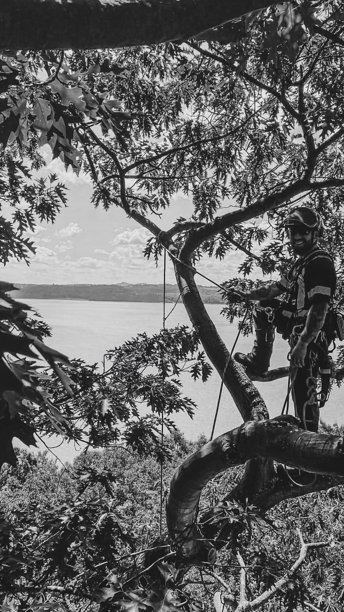 Homme en escalade dans un arbre avec vue sur un lac et un ciel nuageux en noir et blanc.