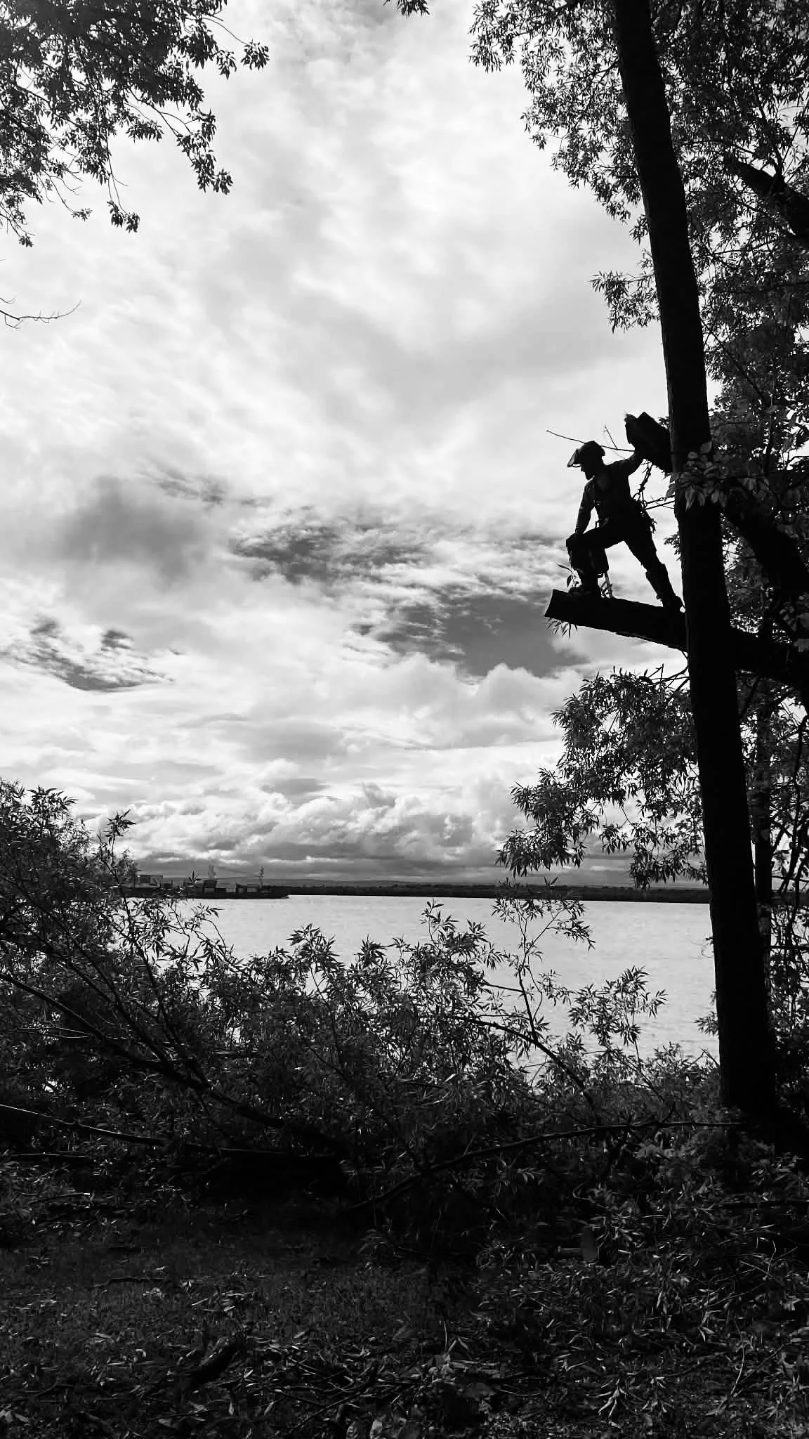 Un homme portant un casque et un sac à dos, marchant sur une branche d’arbre dans une forêt au bord de l’eau, avec un ciel nuageux en arrière-plan.