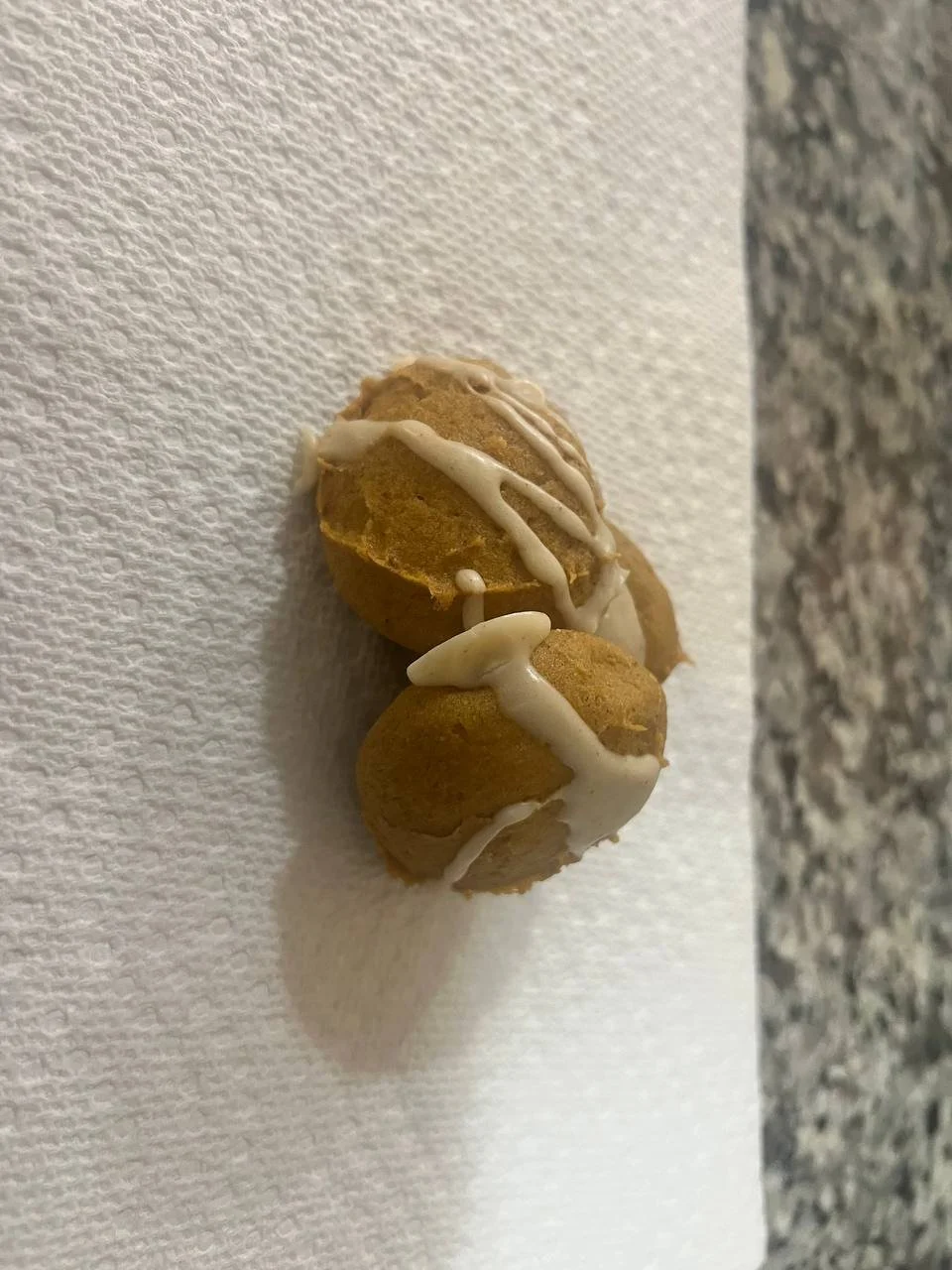 Pumpkin Cookies (Singles)