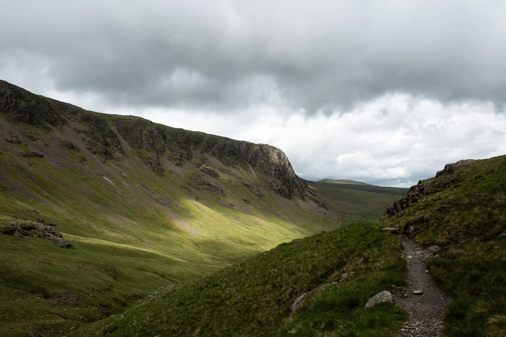 NP5_1546.jpg
