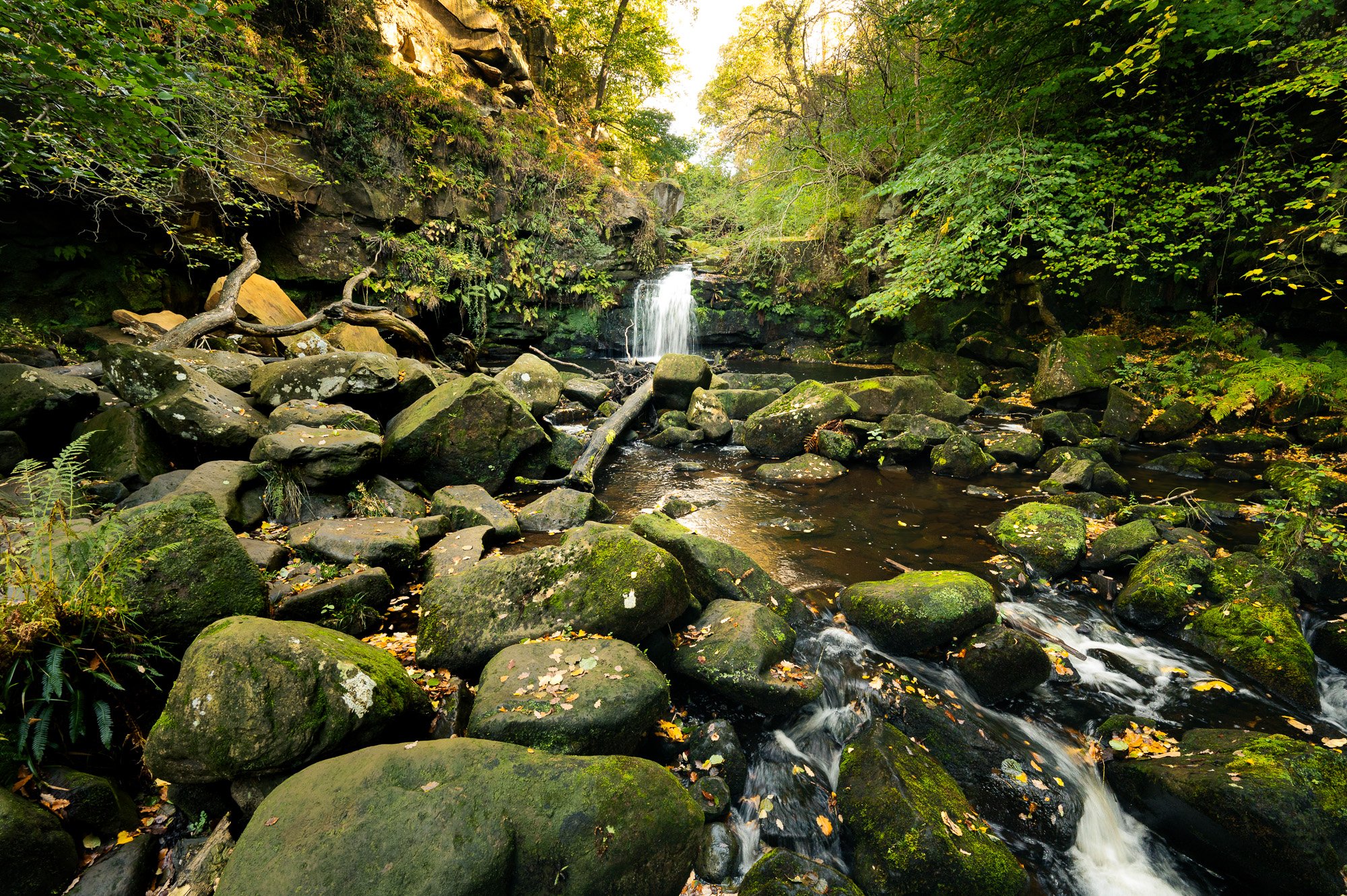 NP0_3539-HDR.jpg