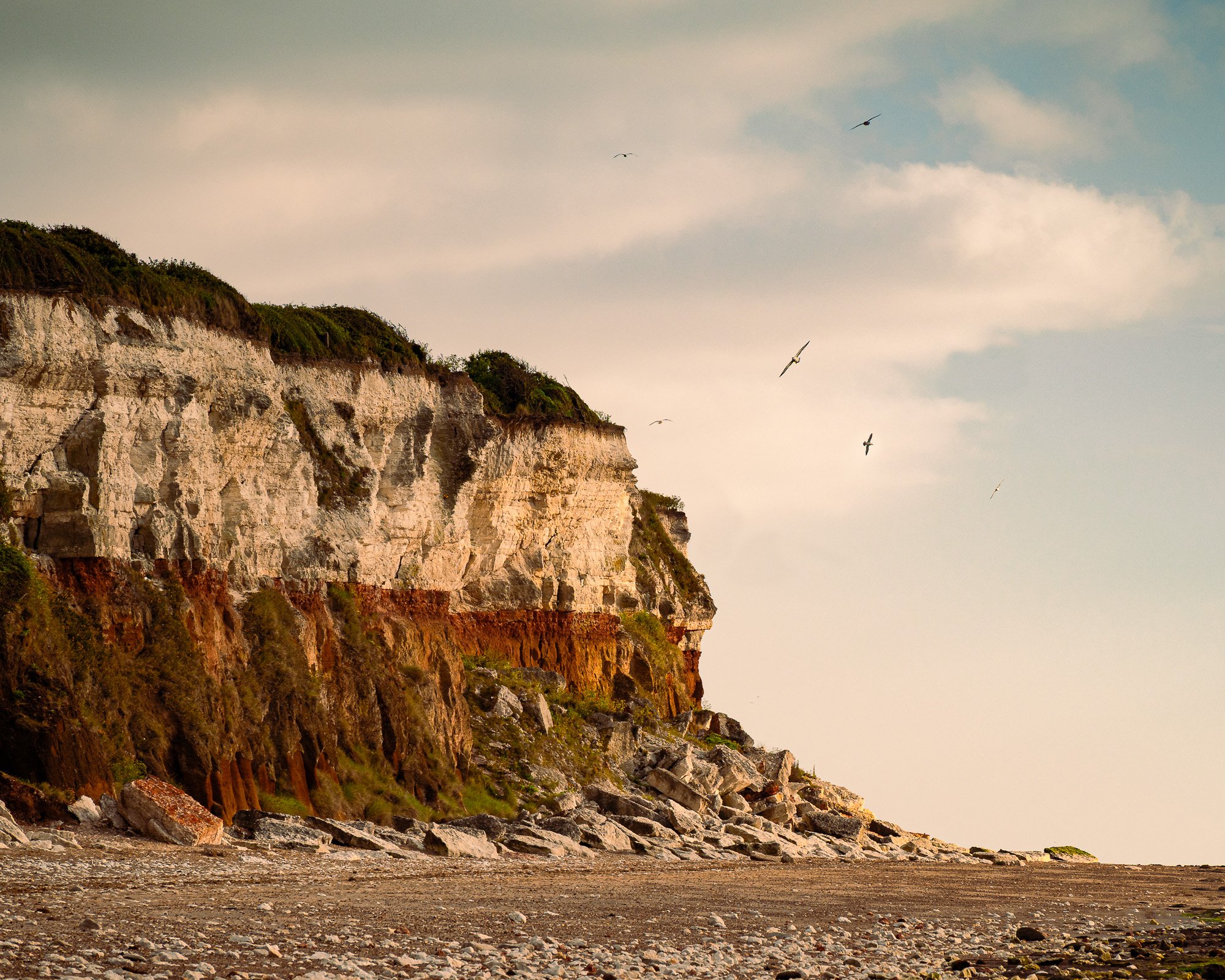 NP0_3511-Edit.jpg