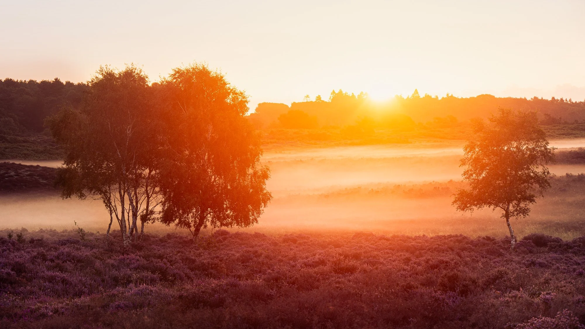 NP0_8673-Edit.jpg