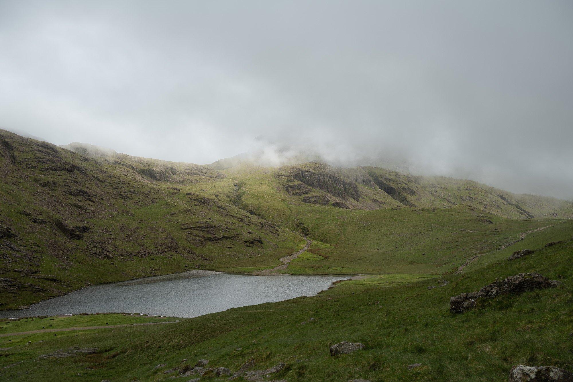 NP5_1568.jpg