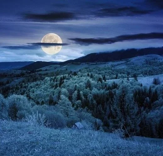 Full moon rising over a forested landscape at night, symbolizing dreams, reflection, and the unconscious.