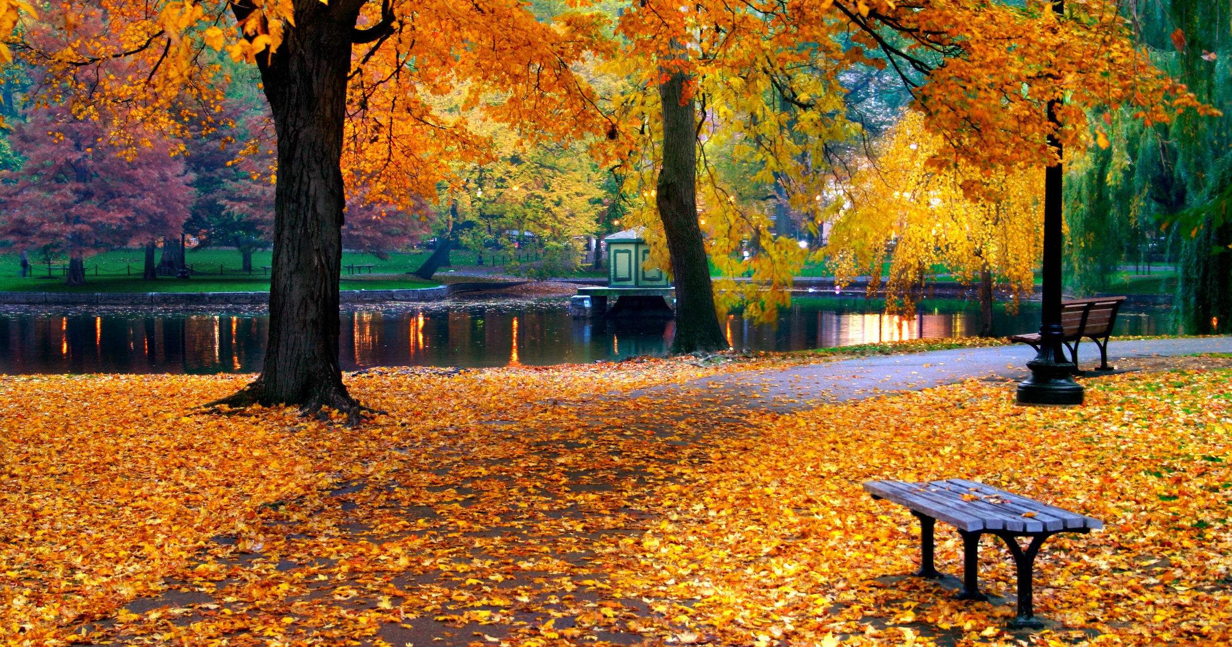 🍂 What’s Happening in MetroWest This November: Events to Watch