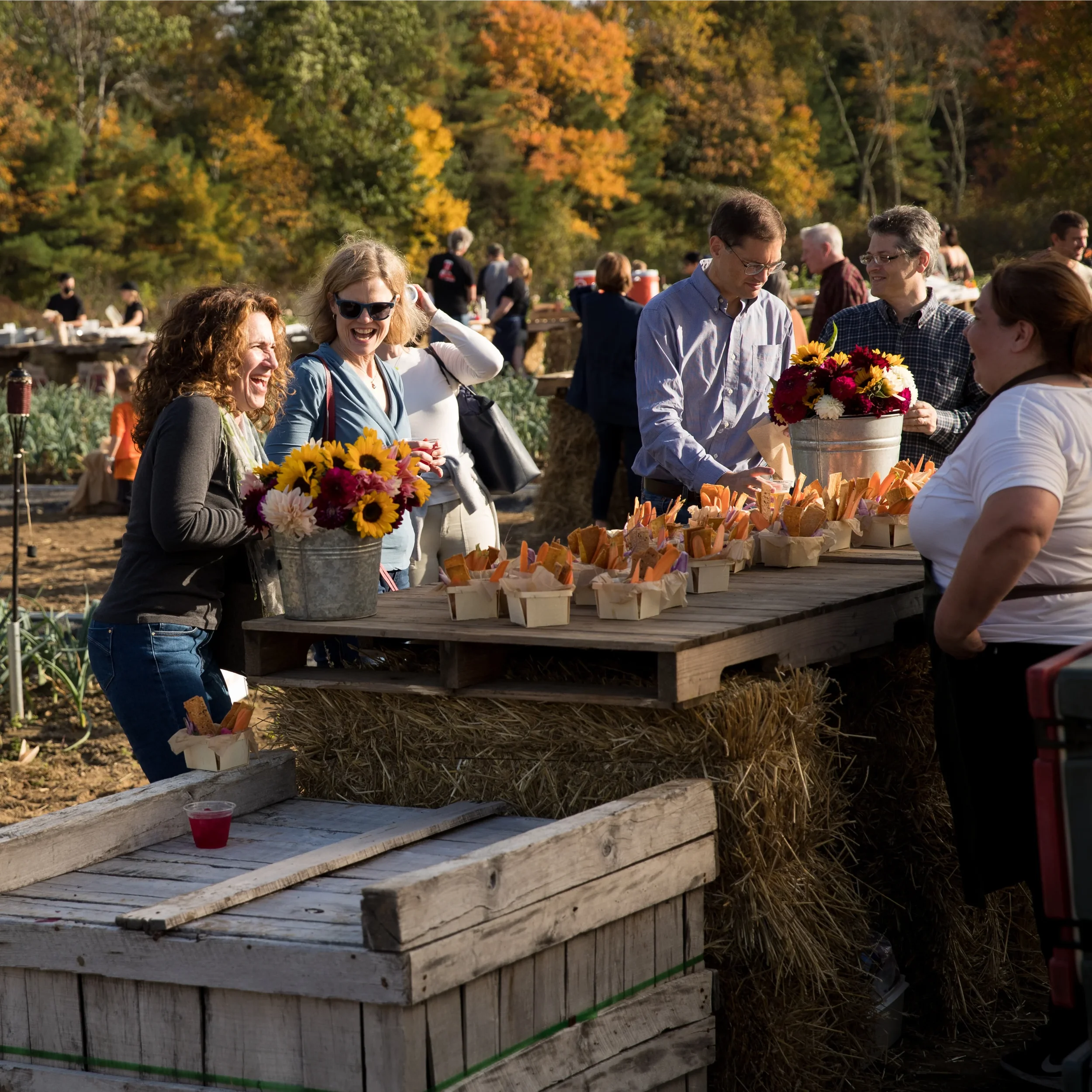 🍂 What’s On in MetroWest &amp; Nearby — November 2025 Events You Don’t Want to Miss