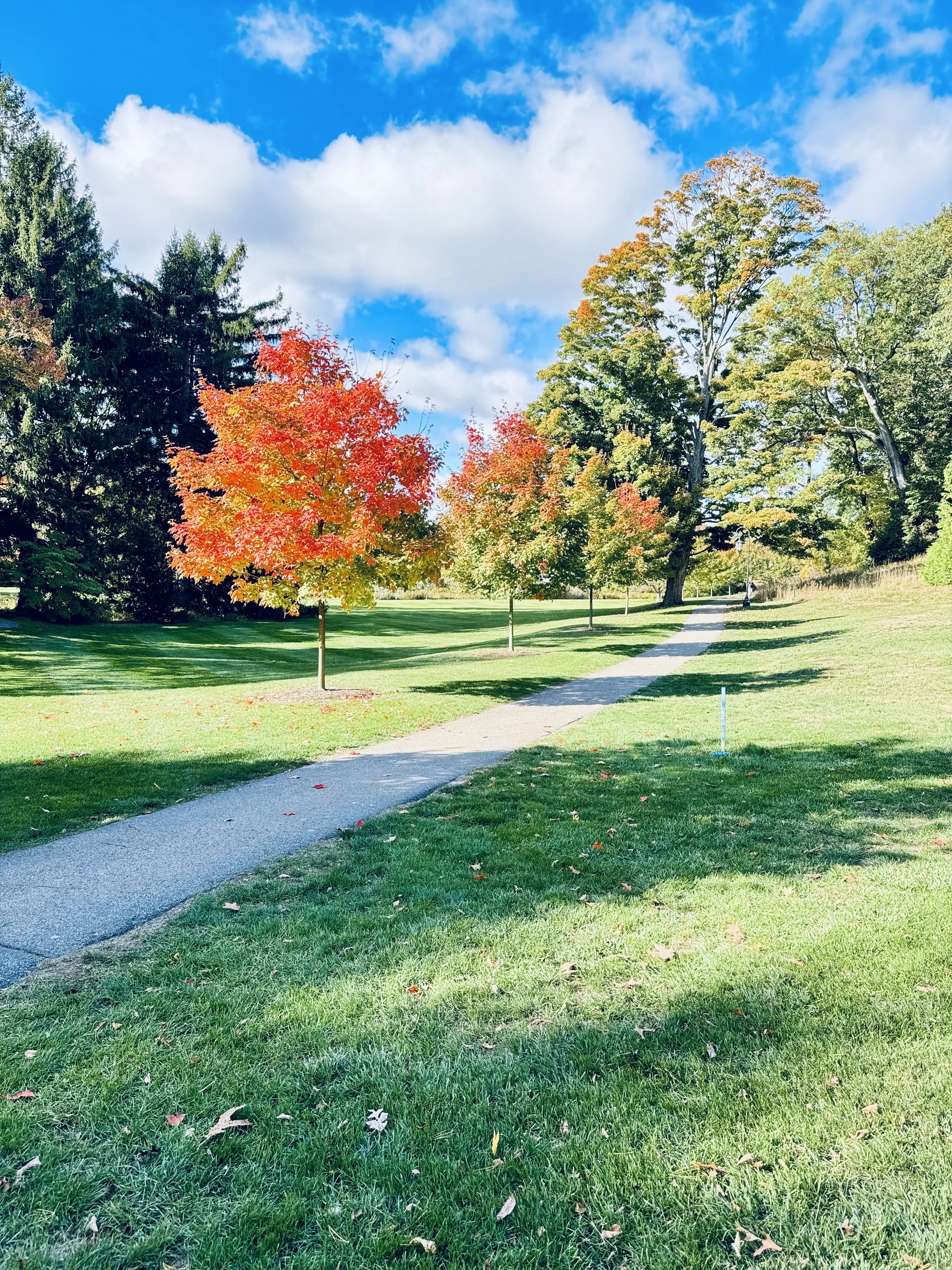 The Best Things to Do in Wellesley, MA in the Fall