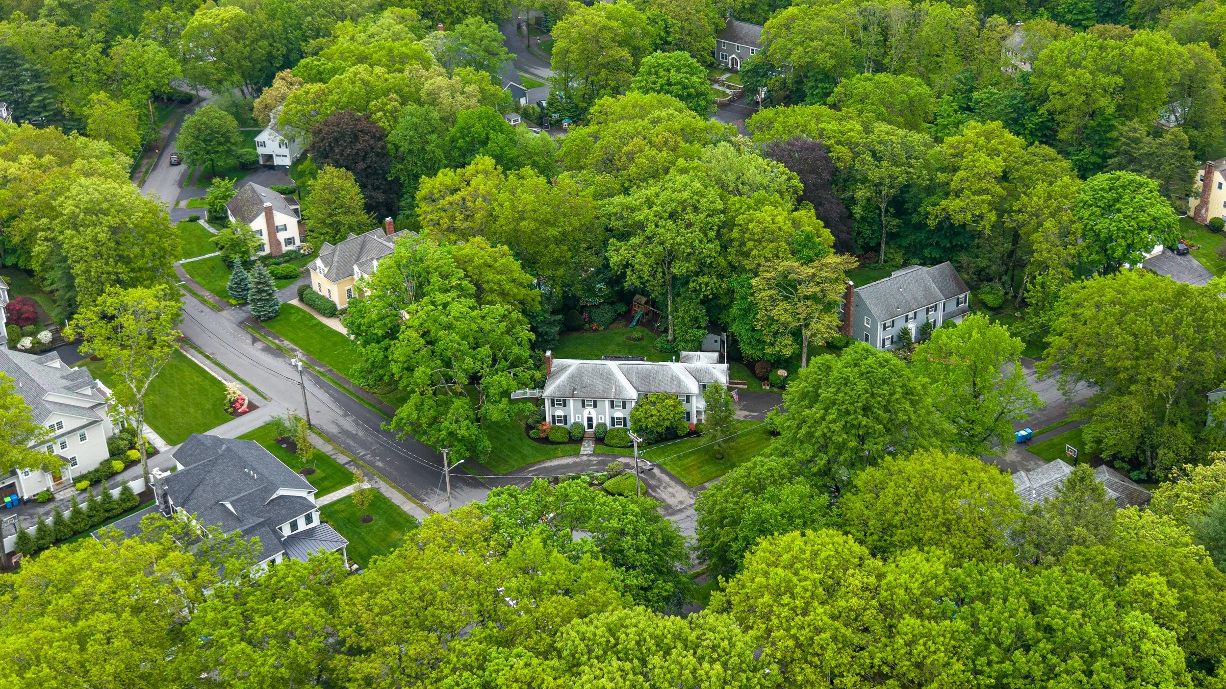Dana Hall vs. Cliff Estates: A Buyer’s Guide to Wellesley’s Two Most Coveted Neighborhoods