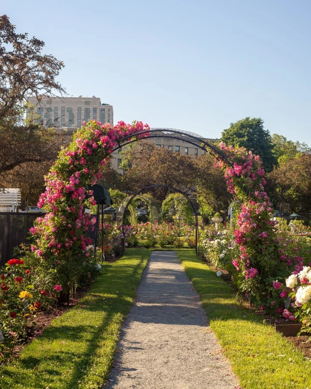 Hello, May! Newsletter