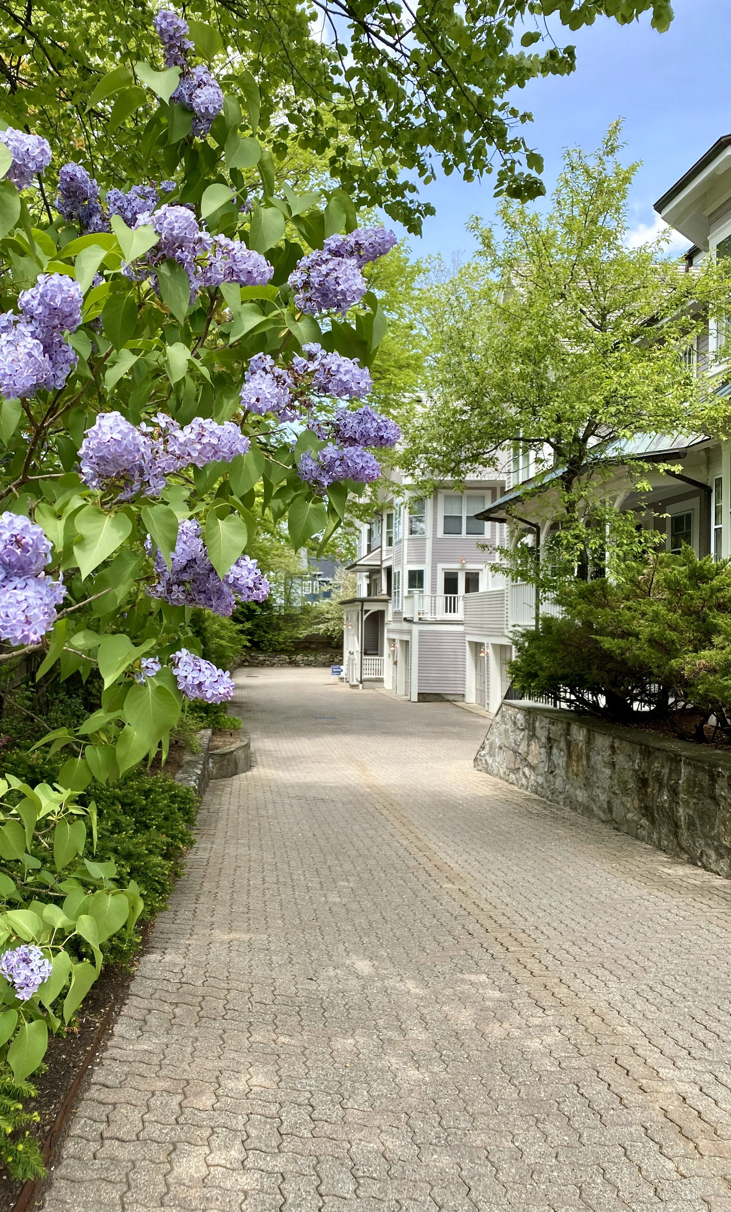 May is in Bloom