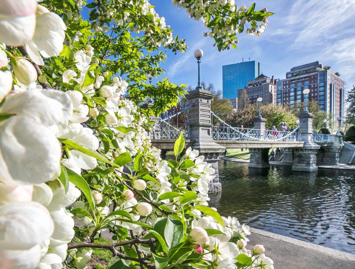 MetroWest Boston Real Estate Forecast 2026: Spring Market Predictions 