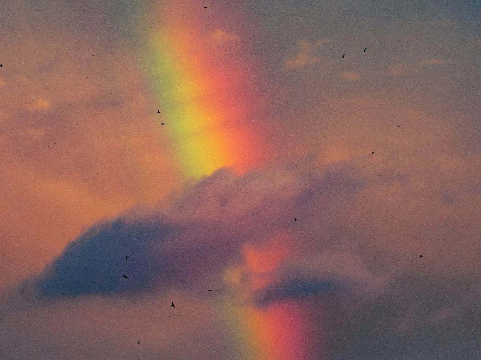 A photo of a rainbow in the clouds which is slightly murky looking and out of focus
