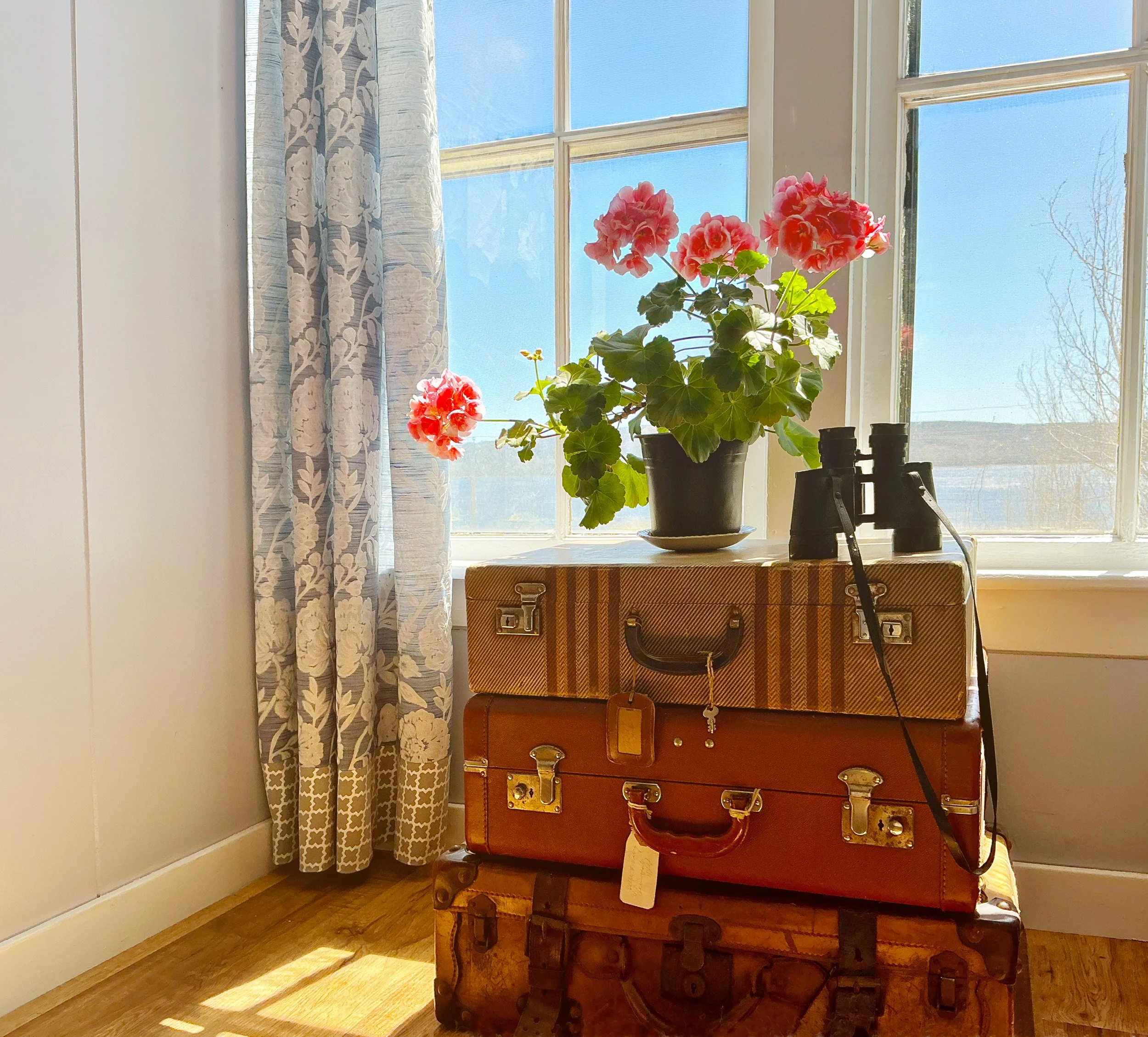 Plants with pink flowers sitting on top of a vintage wooden chest placed on a small table in front of a window with lace-patterned curtains and a blue sky visible outside.