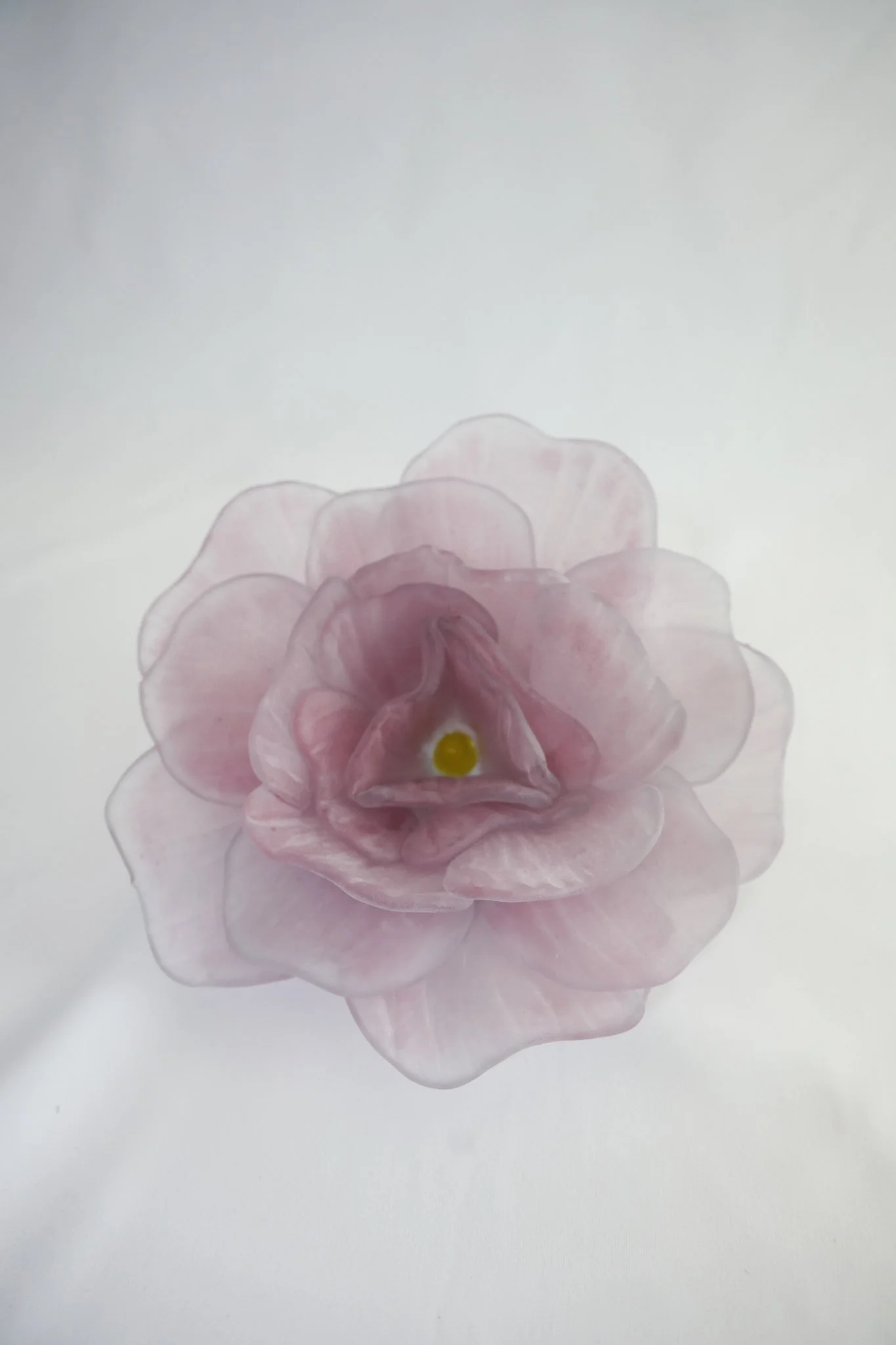 Close-up of a delicate pink flower with a yellow center on a plain white background.