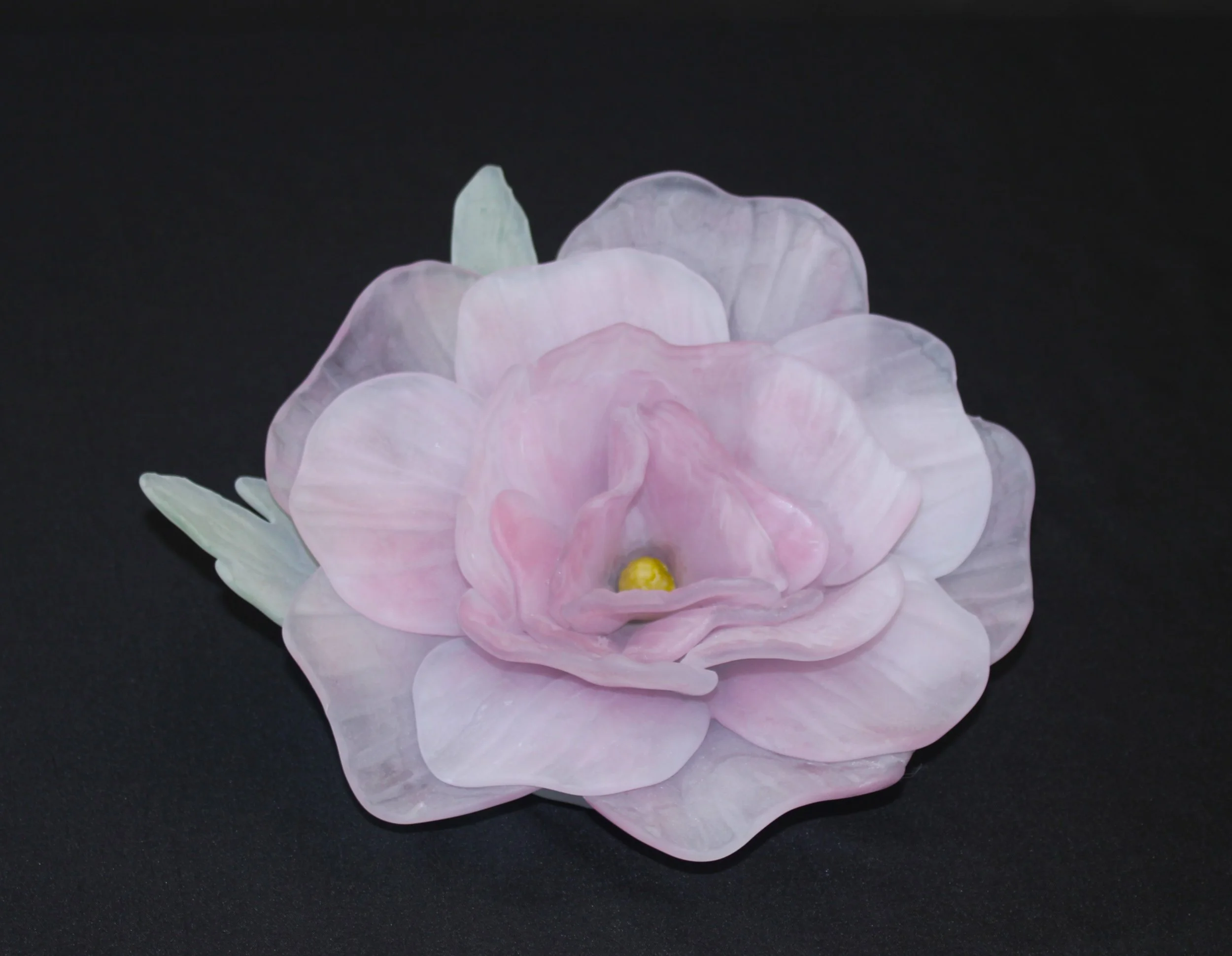 Pink and white flower with a yellow center, set against a black background.