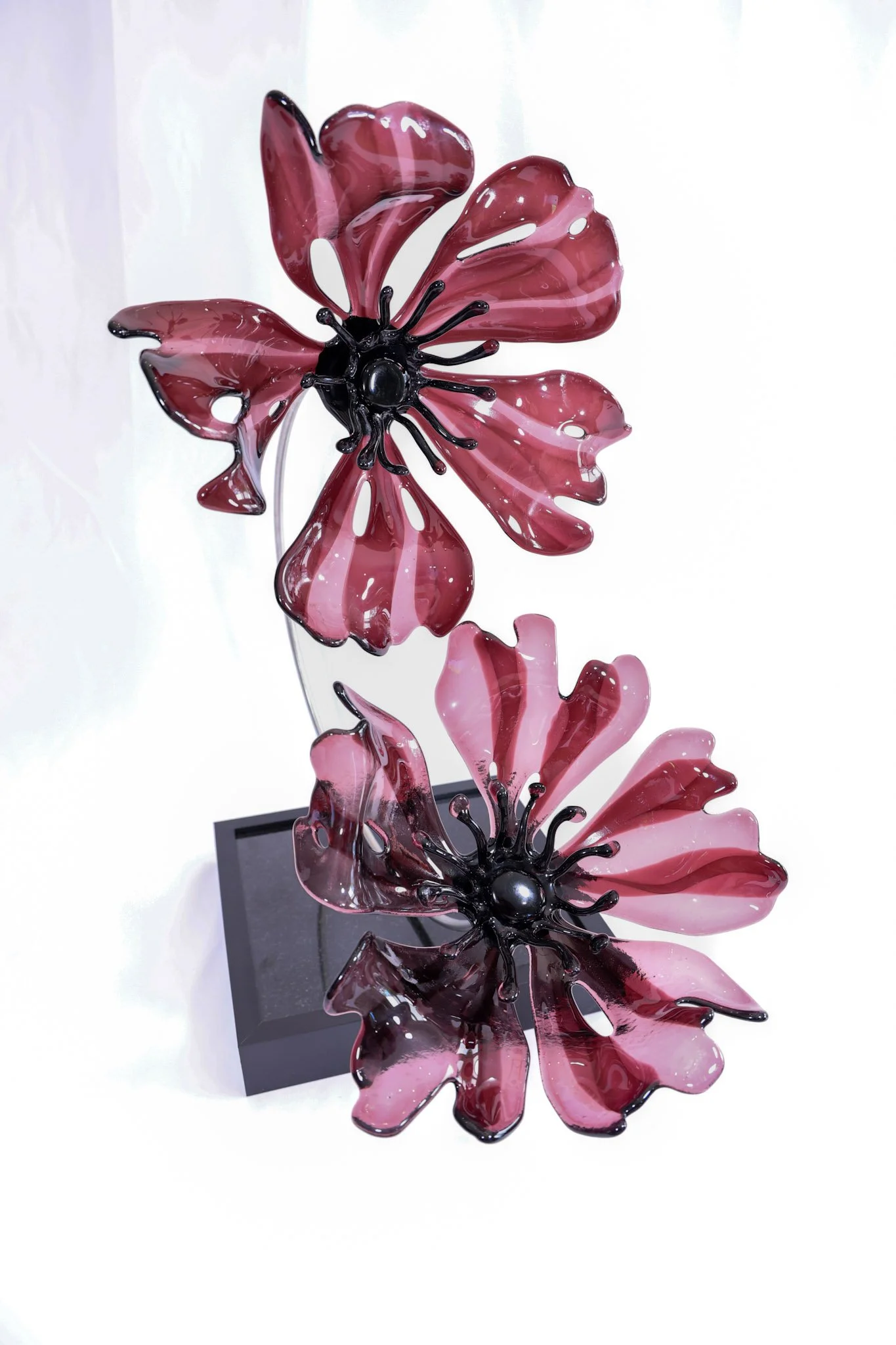 Purple Poppies