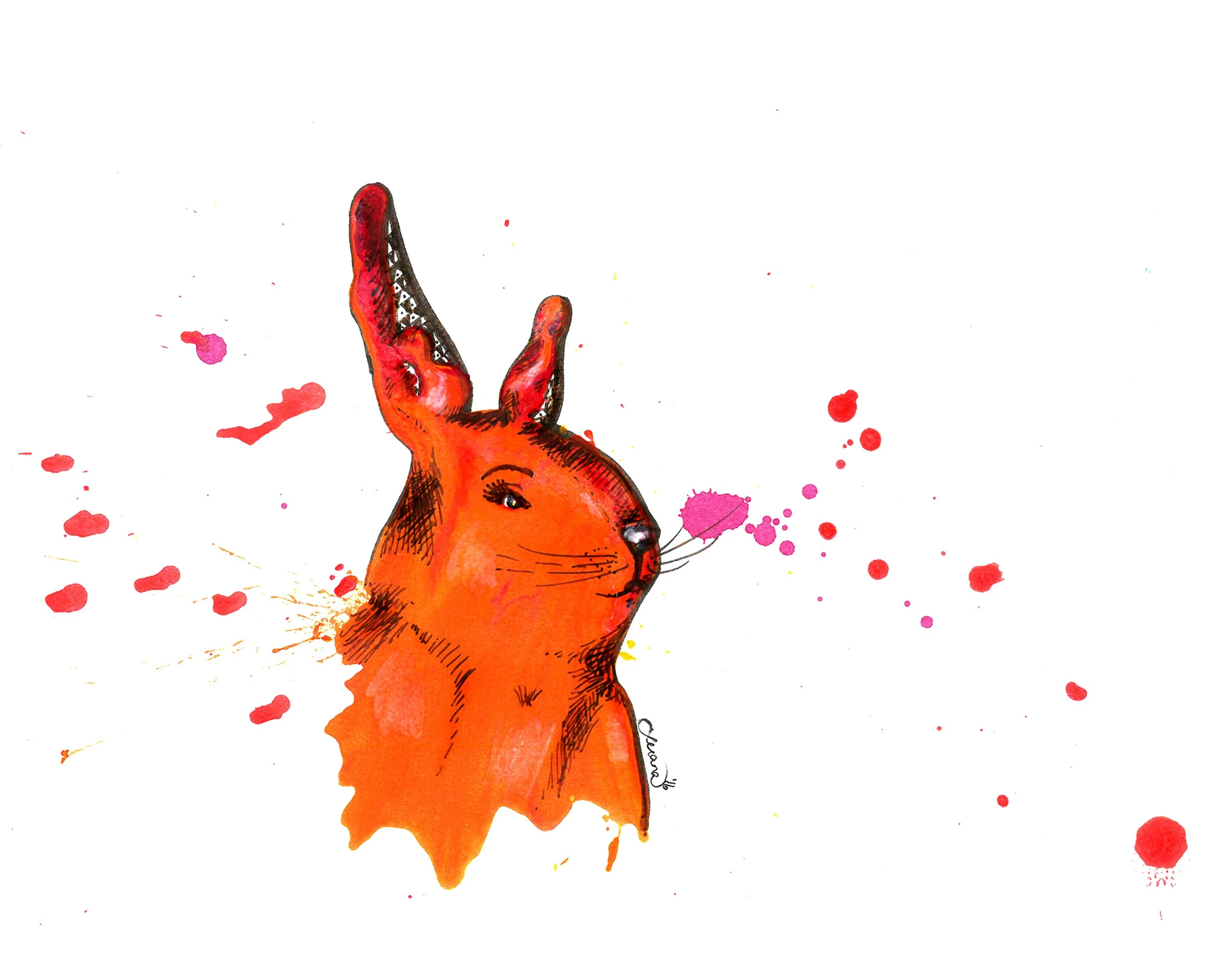 Sophisticated Bunny