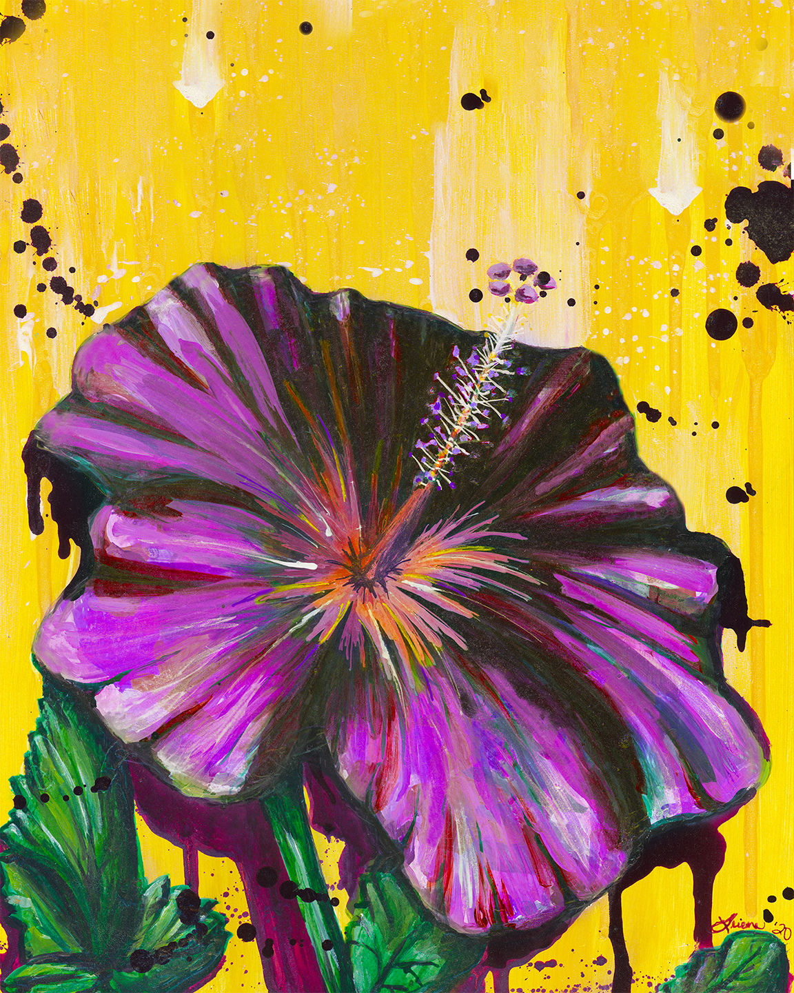 Splatter Hibiscus