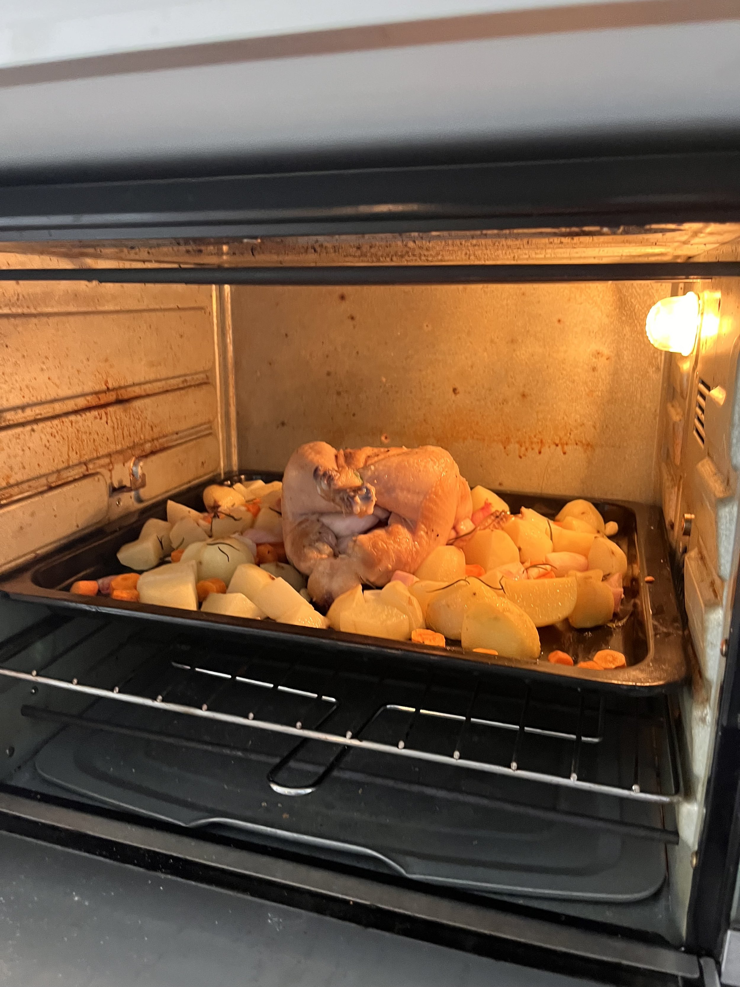 IMG_1348.jpeg