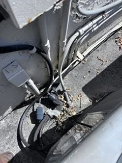 image1.jpeg