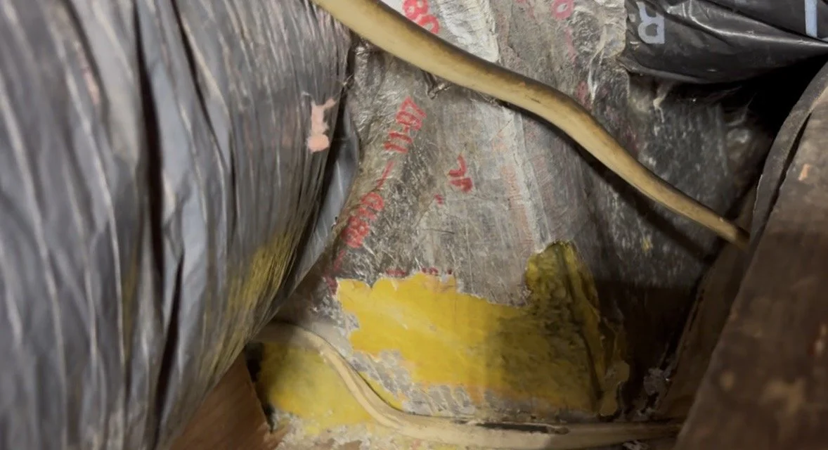 DUCT RAT.jpg