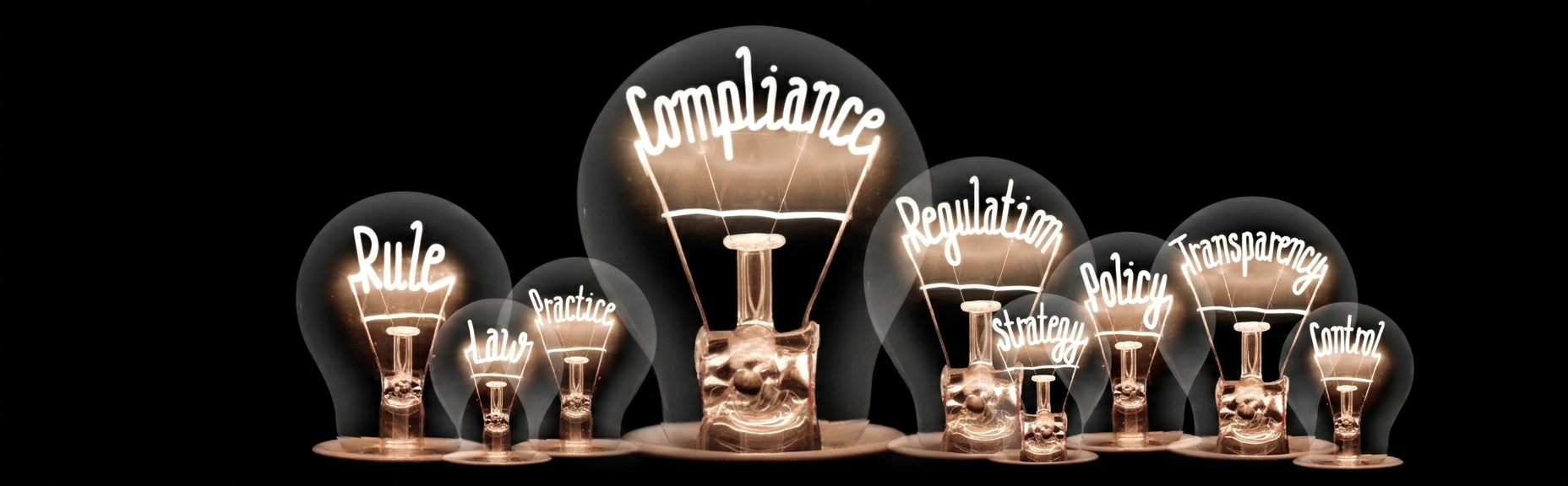 Multiple light bulbs with handwritten words inside, including Law, Practice, Rule, Compliance, Regulation, Policy, Transparency, Strategy, and Control, on a black background.