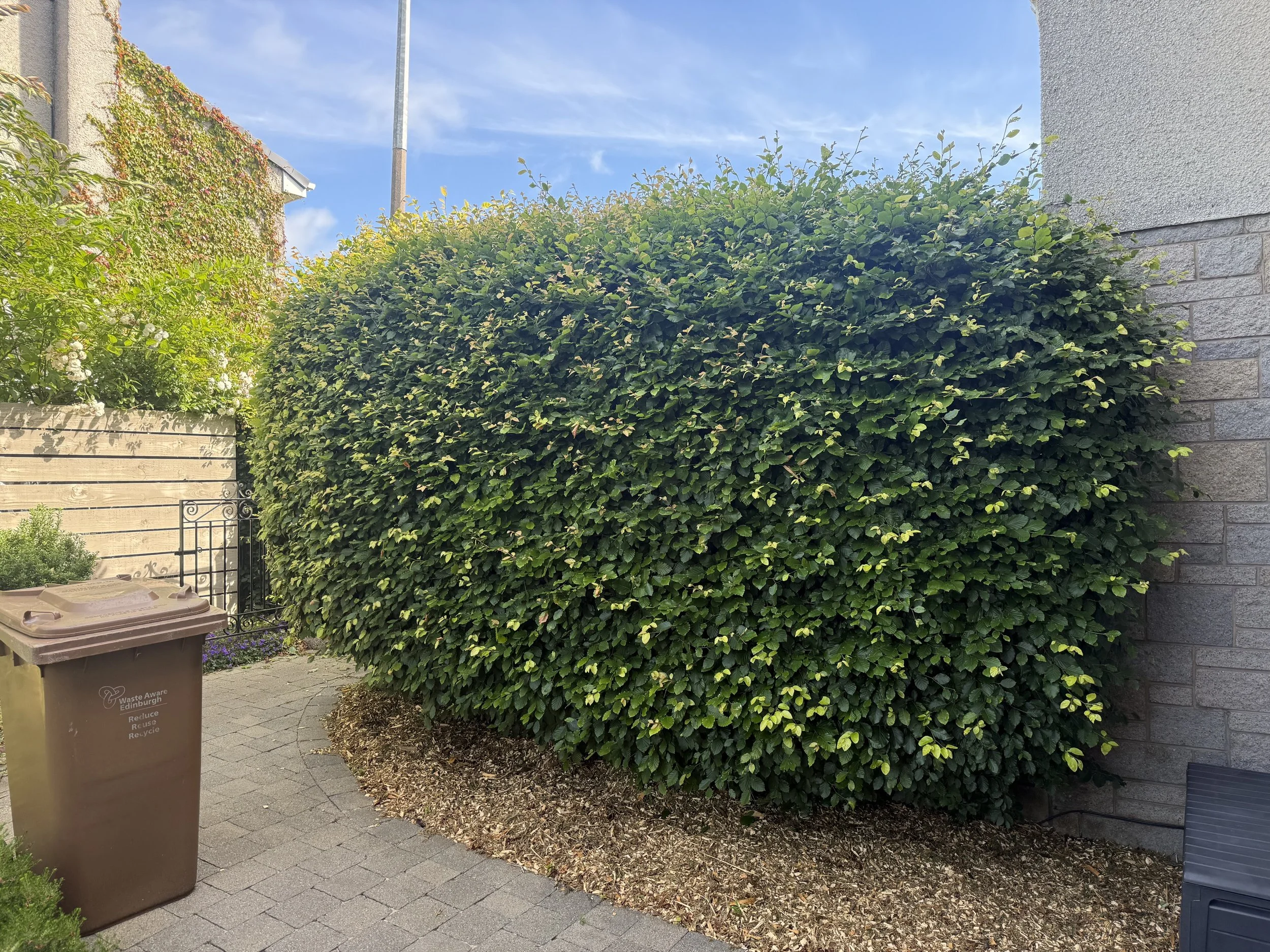 IMG_8931.jpeg