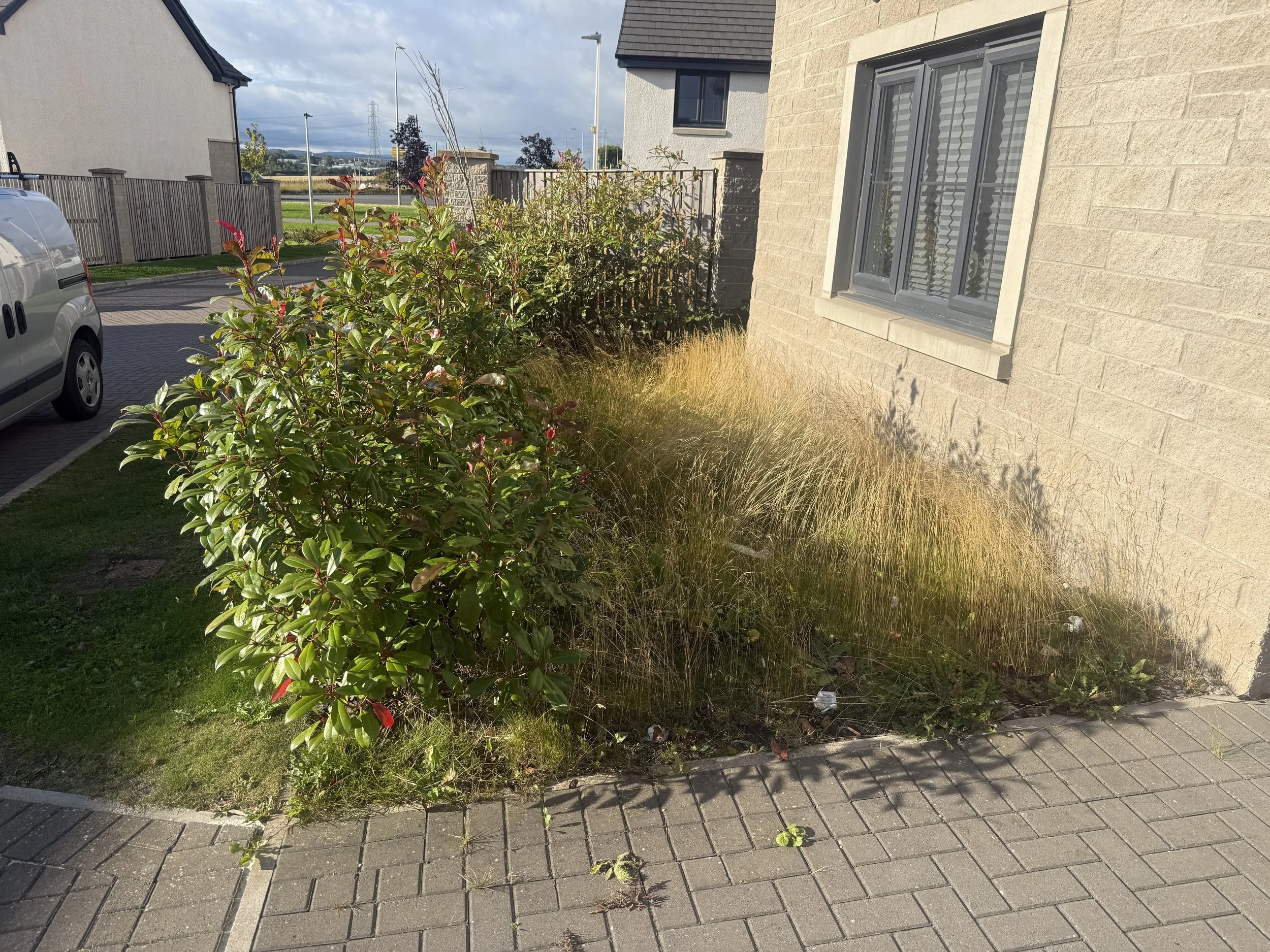IMG_0165.jpeg