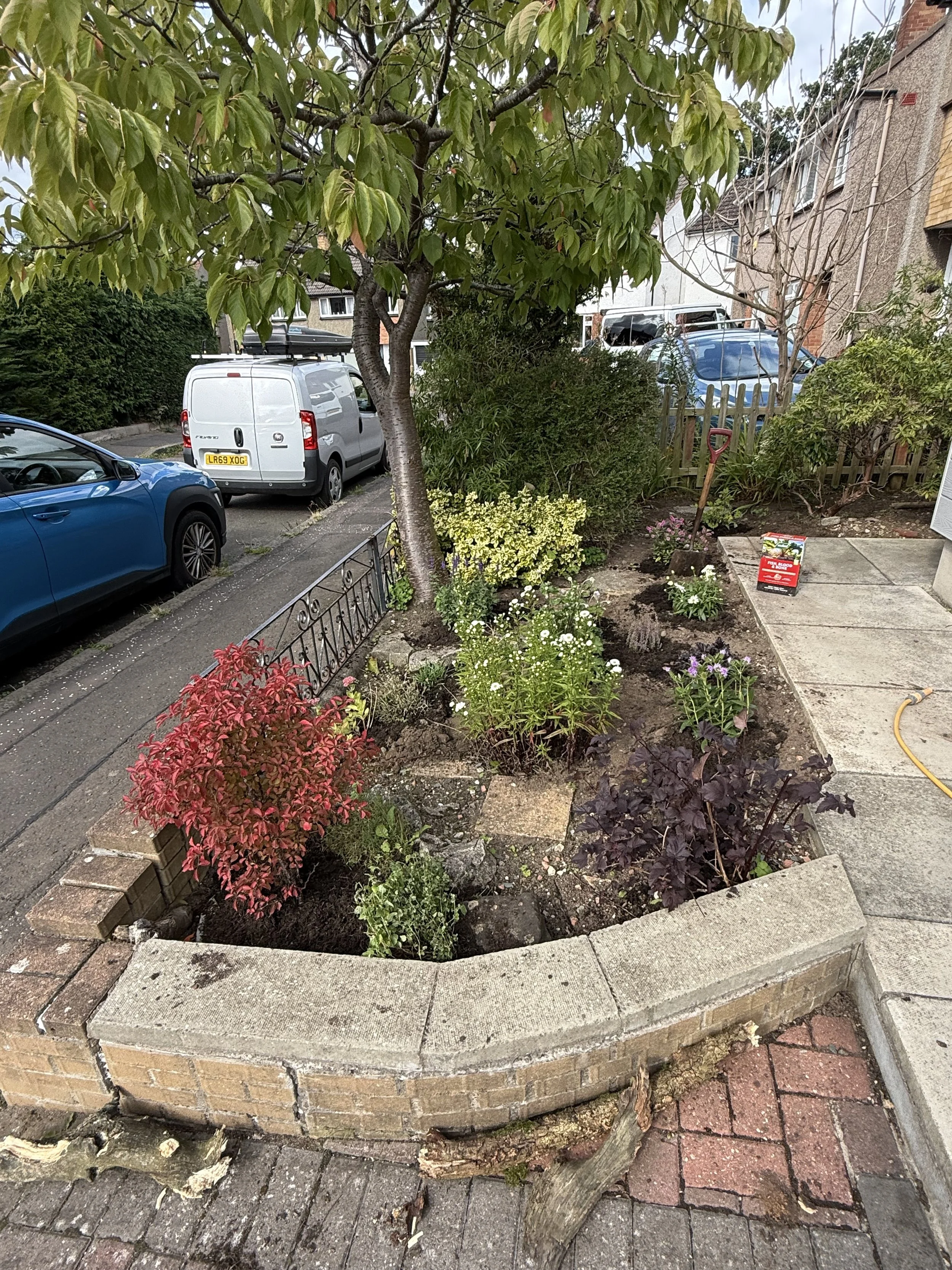 Front garden planting 