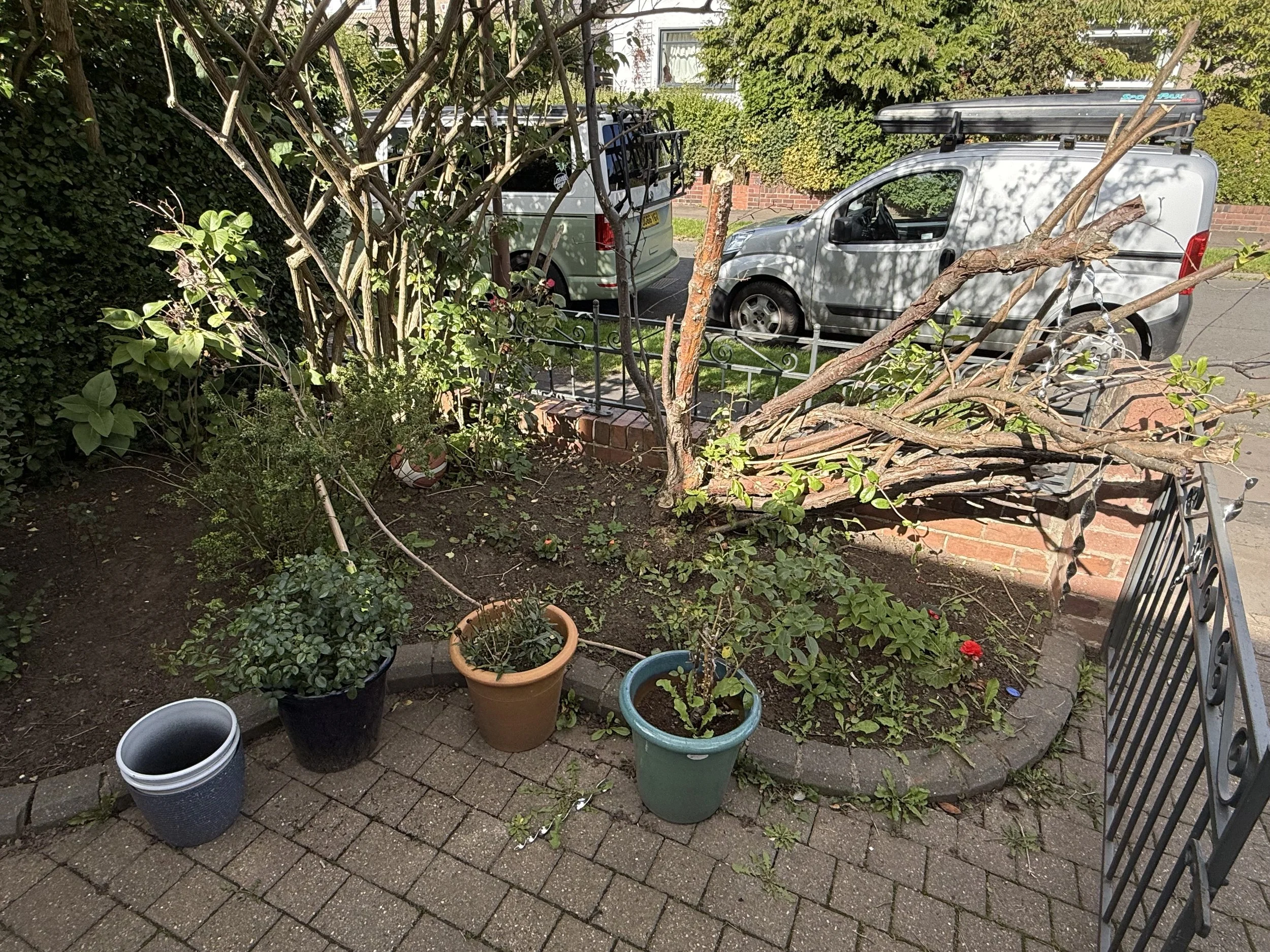IMG_0057.jpeg