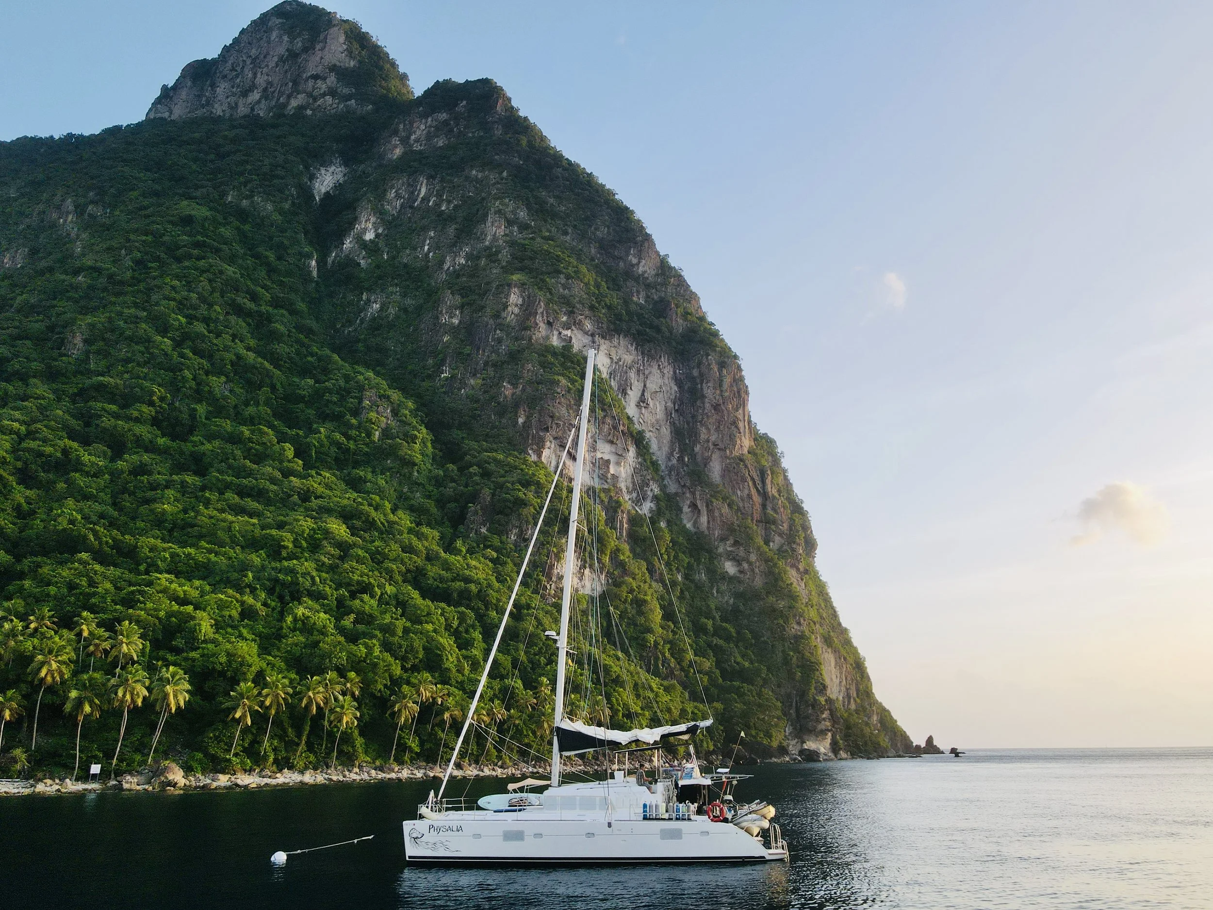 SV Physalia: Multi-Day Term-Charter