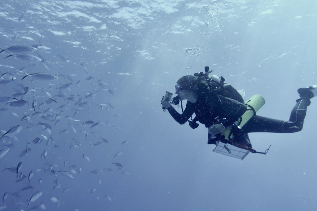 Oceanography &amp; Hydrography Support
