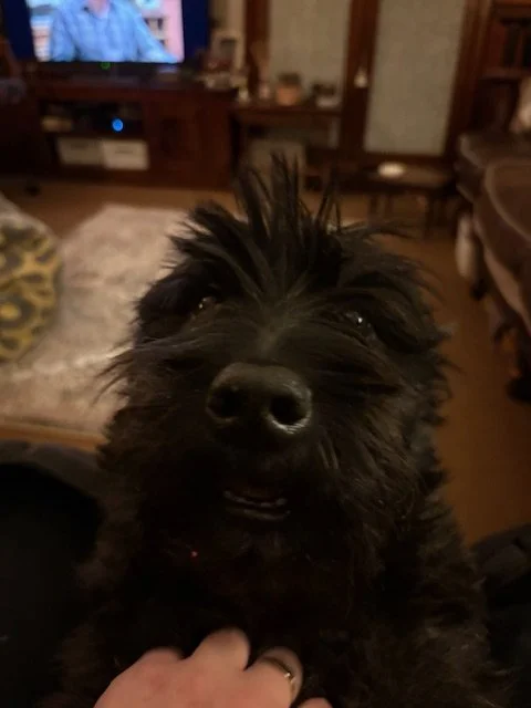My Walter 