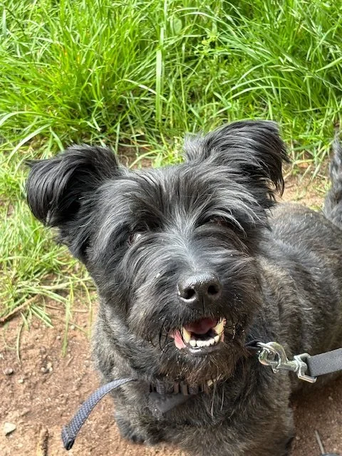 My Walter 
