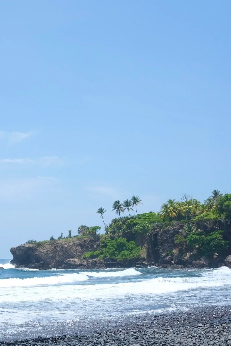 A rocky coastline with beach, waves, and lush green trees including palm trees under a clear blue sky.