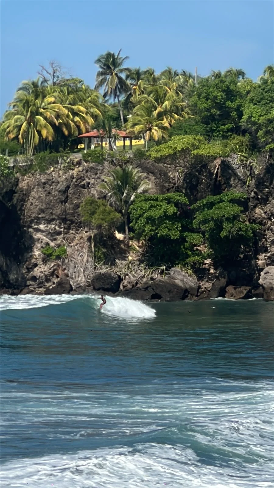 Surfer riding a wave beside a tropical volcanic coastline lined with palm trees and a small house