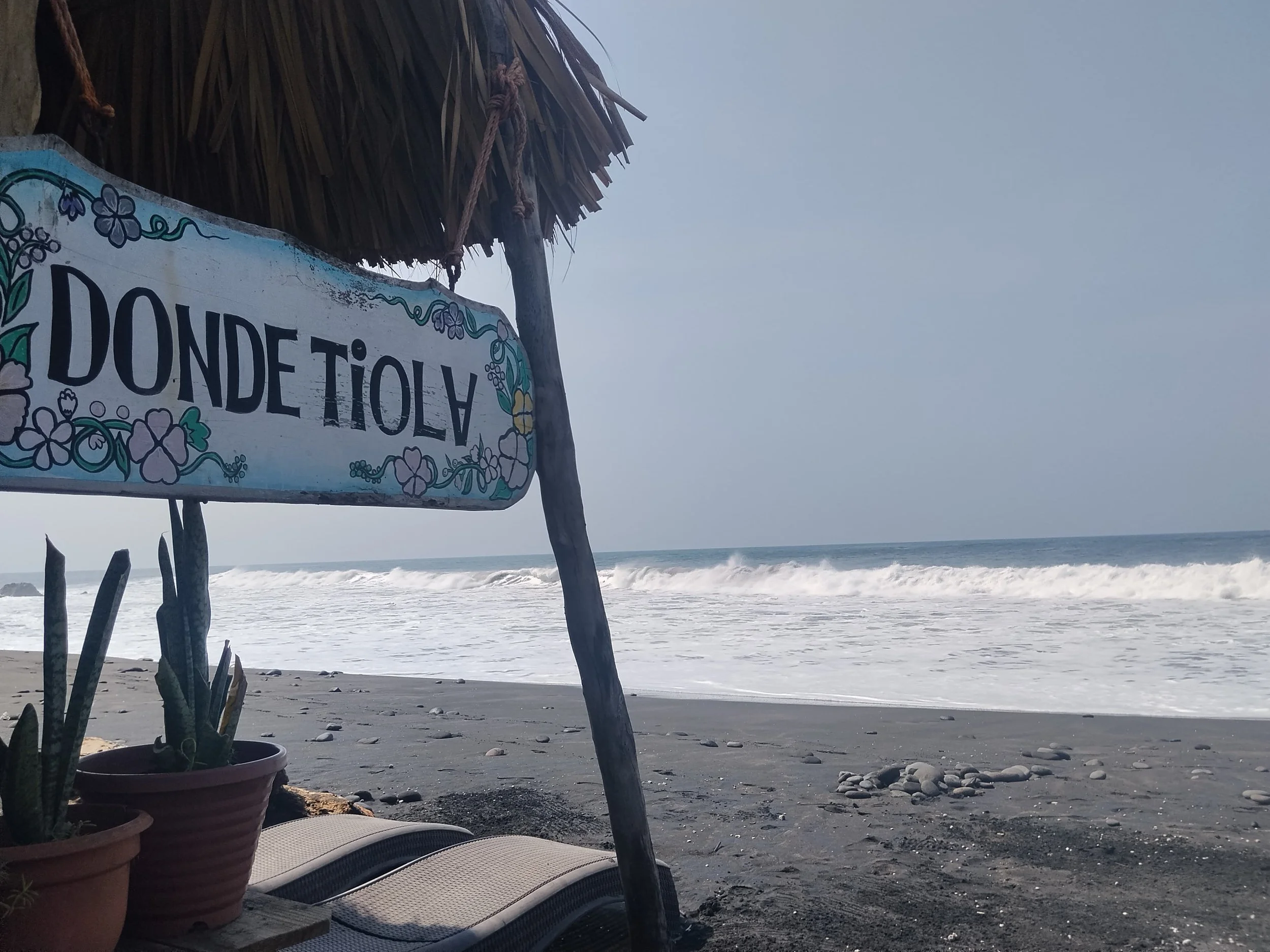 A beach scene with a thatched umbrella, potted cactus plants, and a lounge chair in the foreground. The sea and waves are visible in the background under a clear sky.