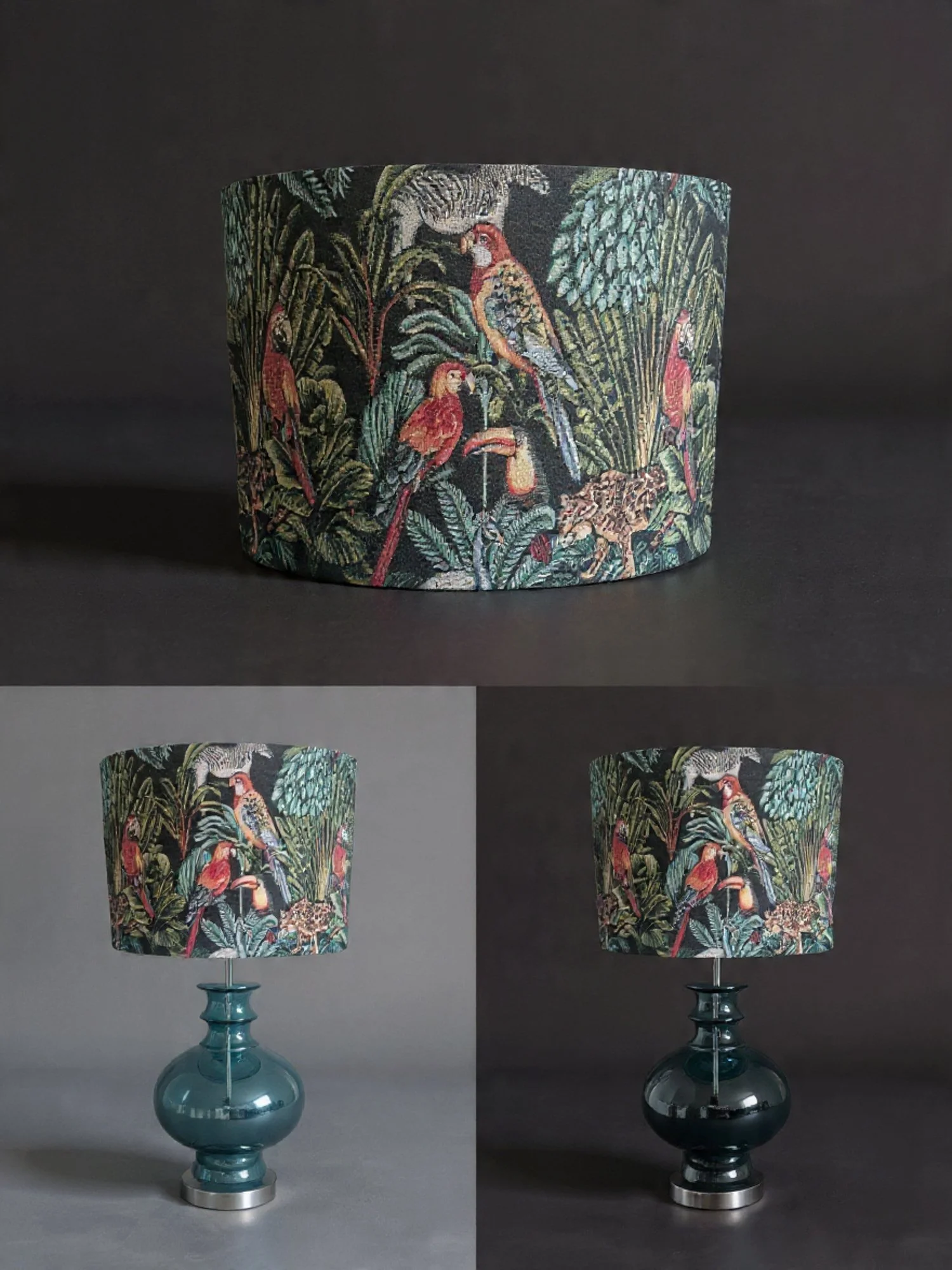 Rainforest collage.jpeg