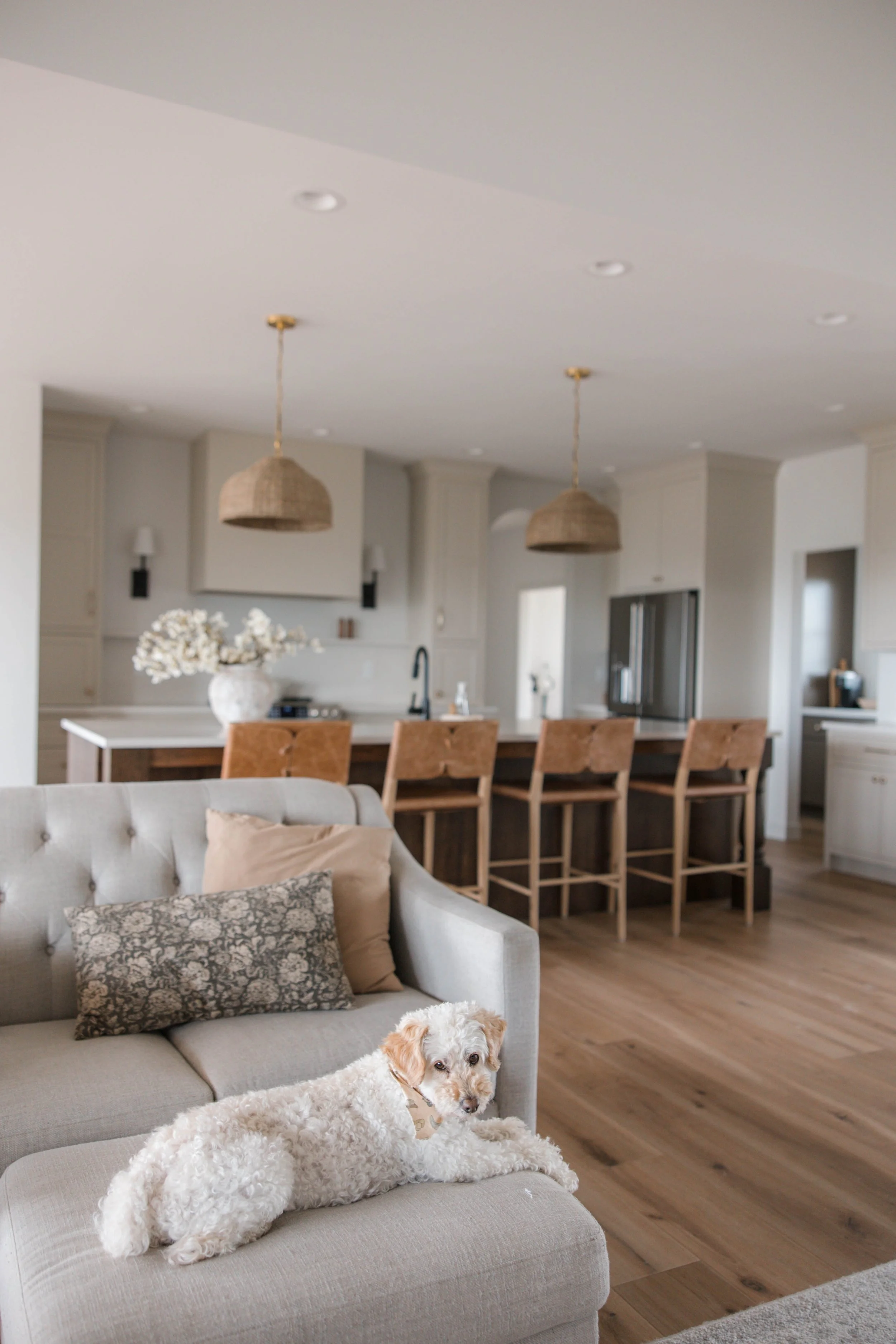 A cozy living room with a light gray sofa, decorative pillows, and a curly white dog laying on the sofa. In the background, there is a modern kitchen with two pendant lights over the countertop, a vase with white flowers, and wooden chairs.