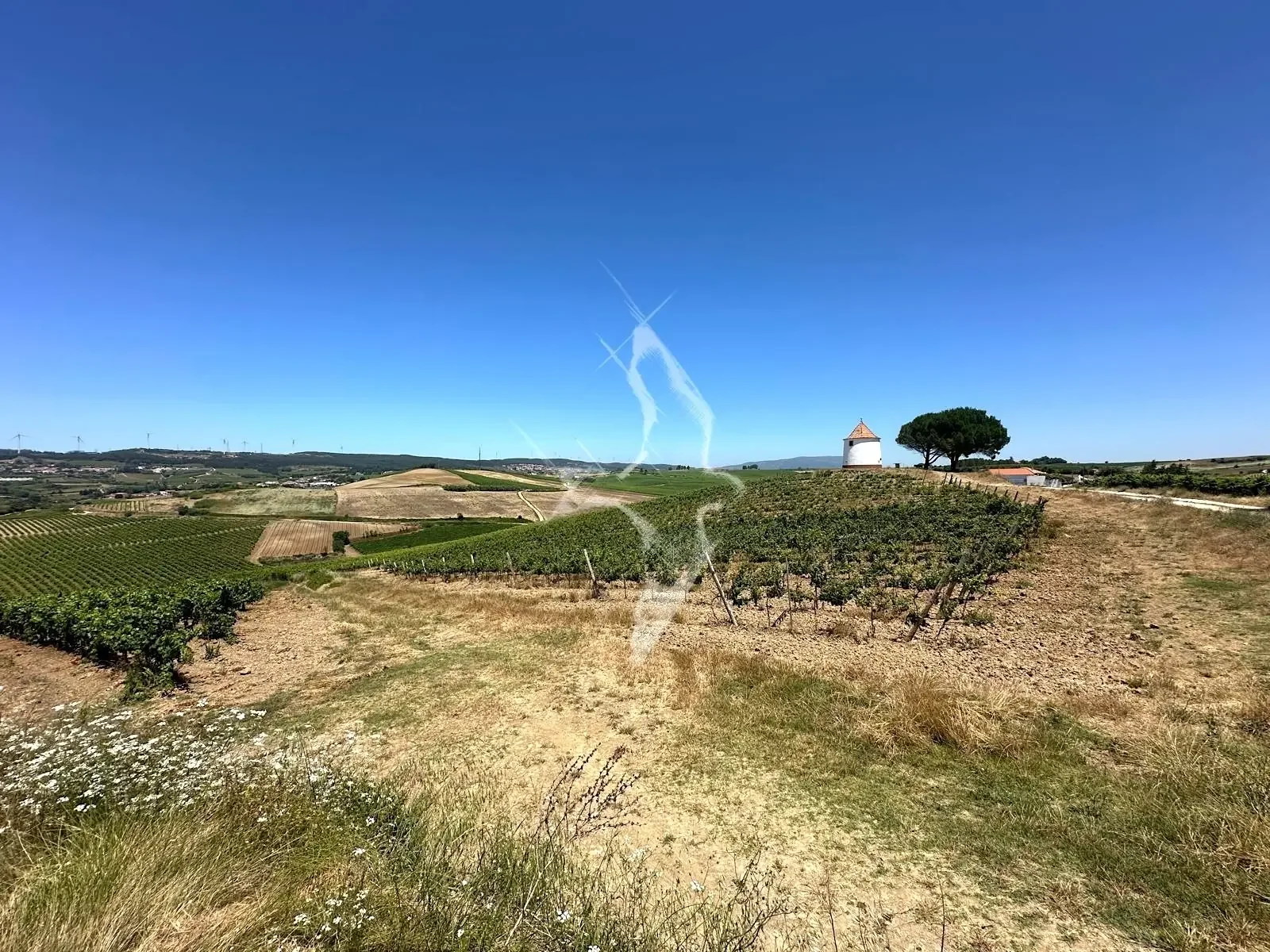 8.jpg.webp