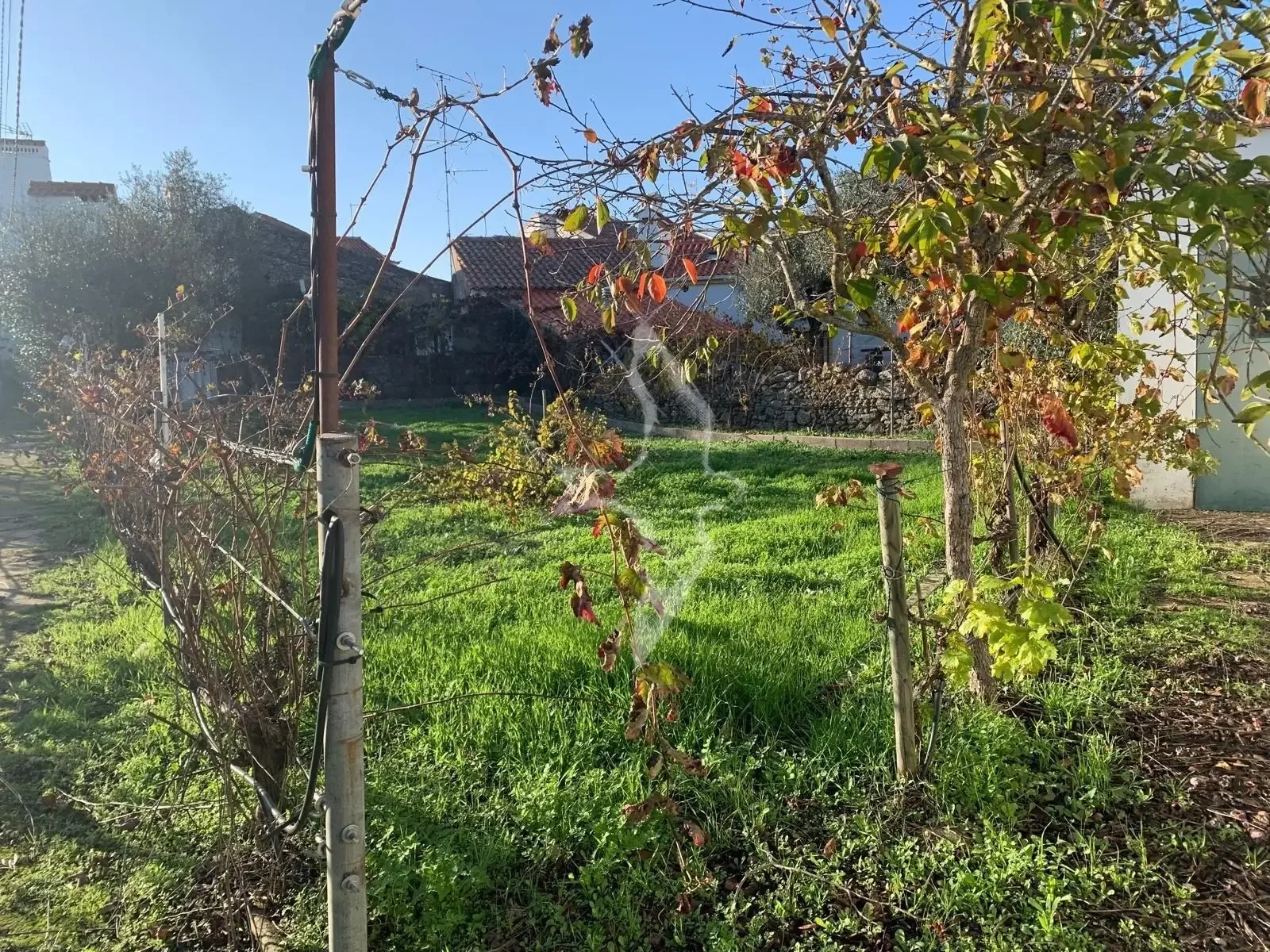 28.-exterior.jpg.webp
