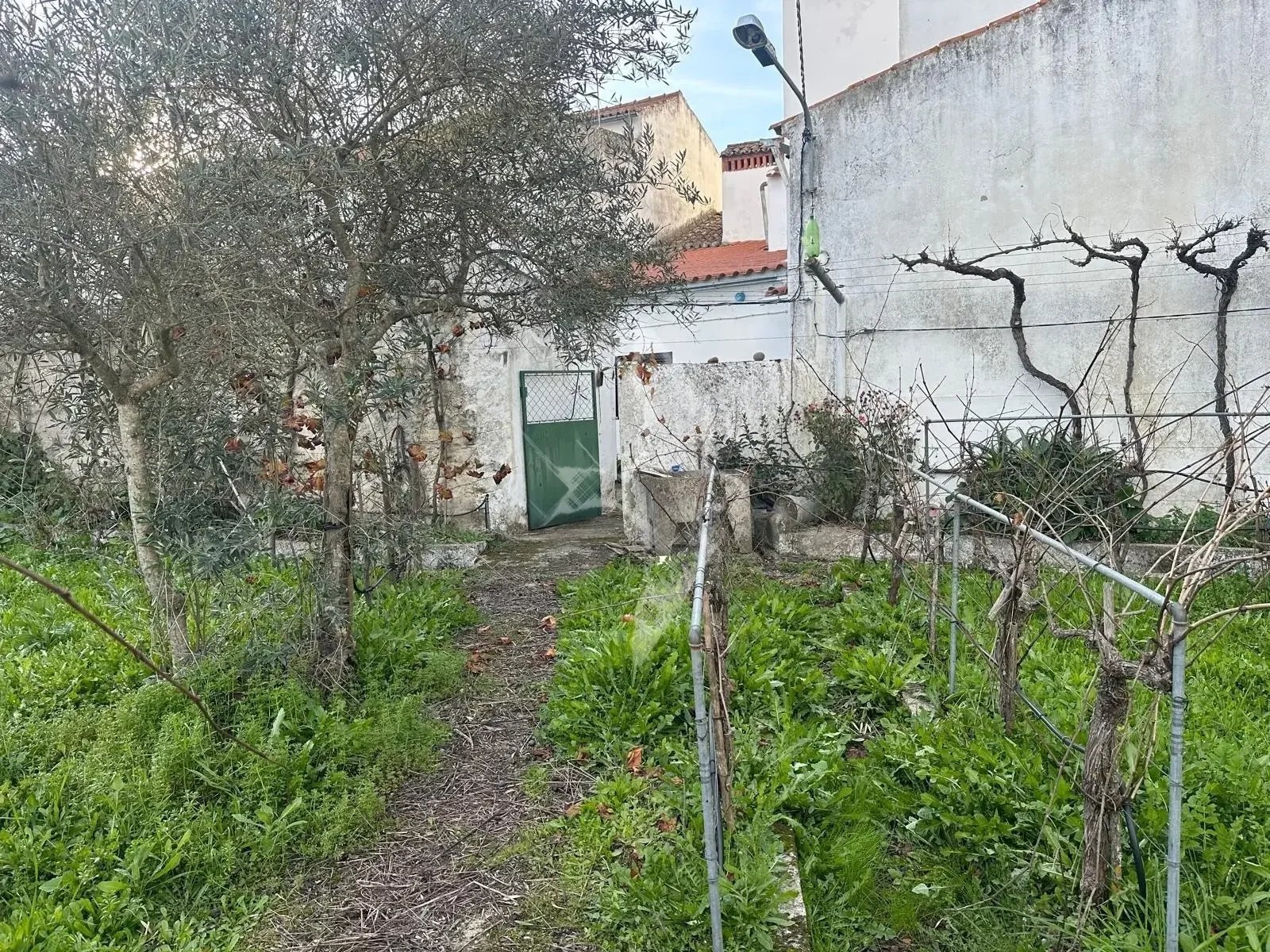 30.-exterior.jpg.webp