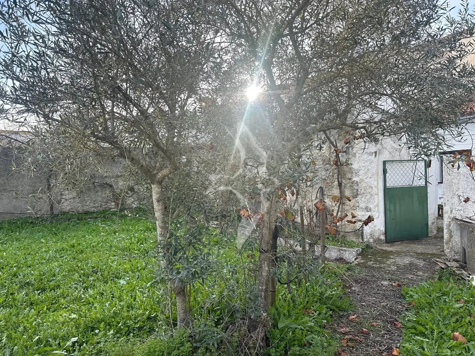 38.-exterior.jpg.webp