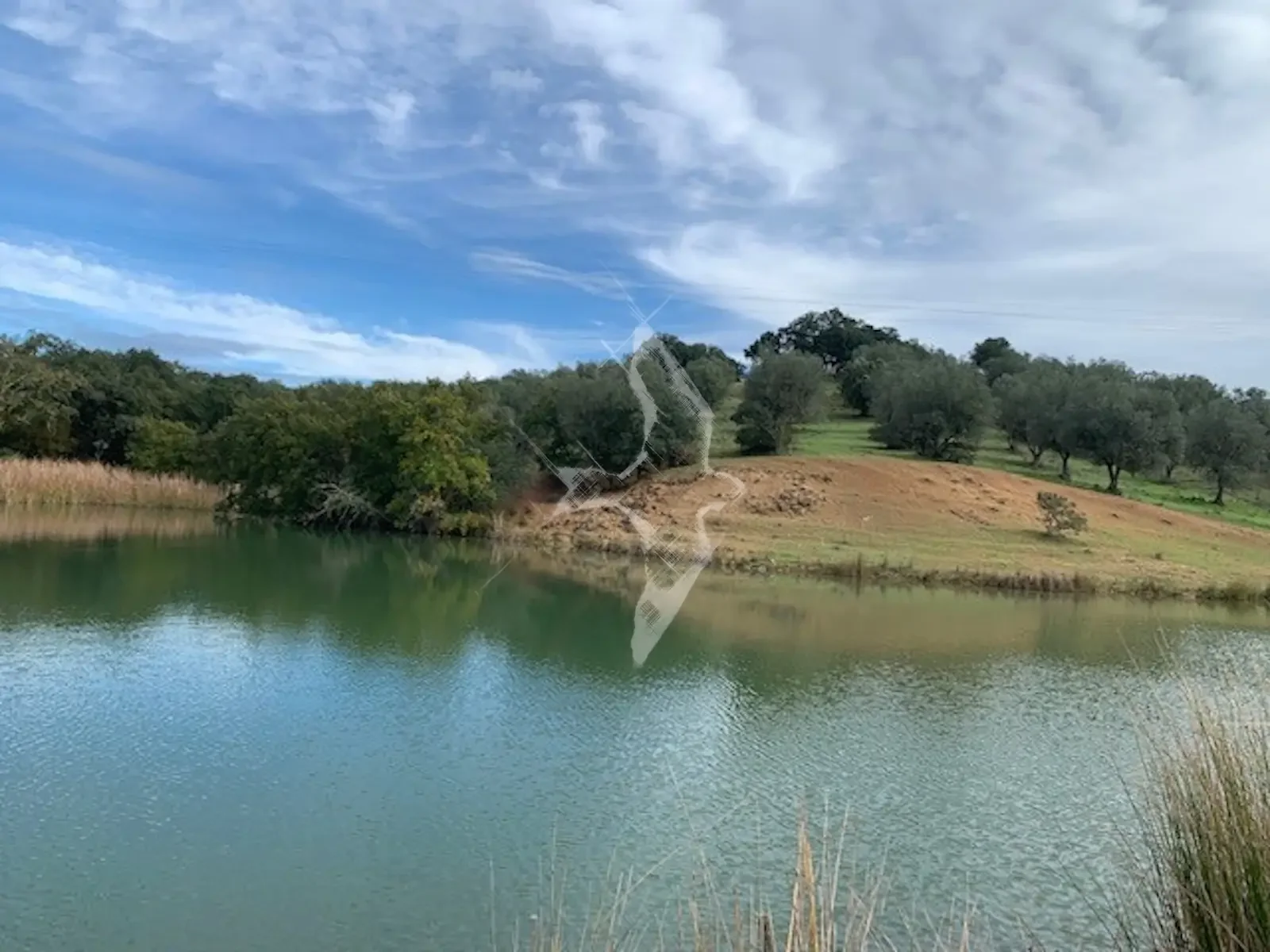 Herdade com 376,4 Ha em Aldeia Velha, Avis, Portalegre