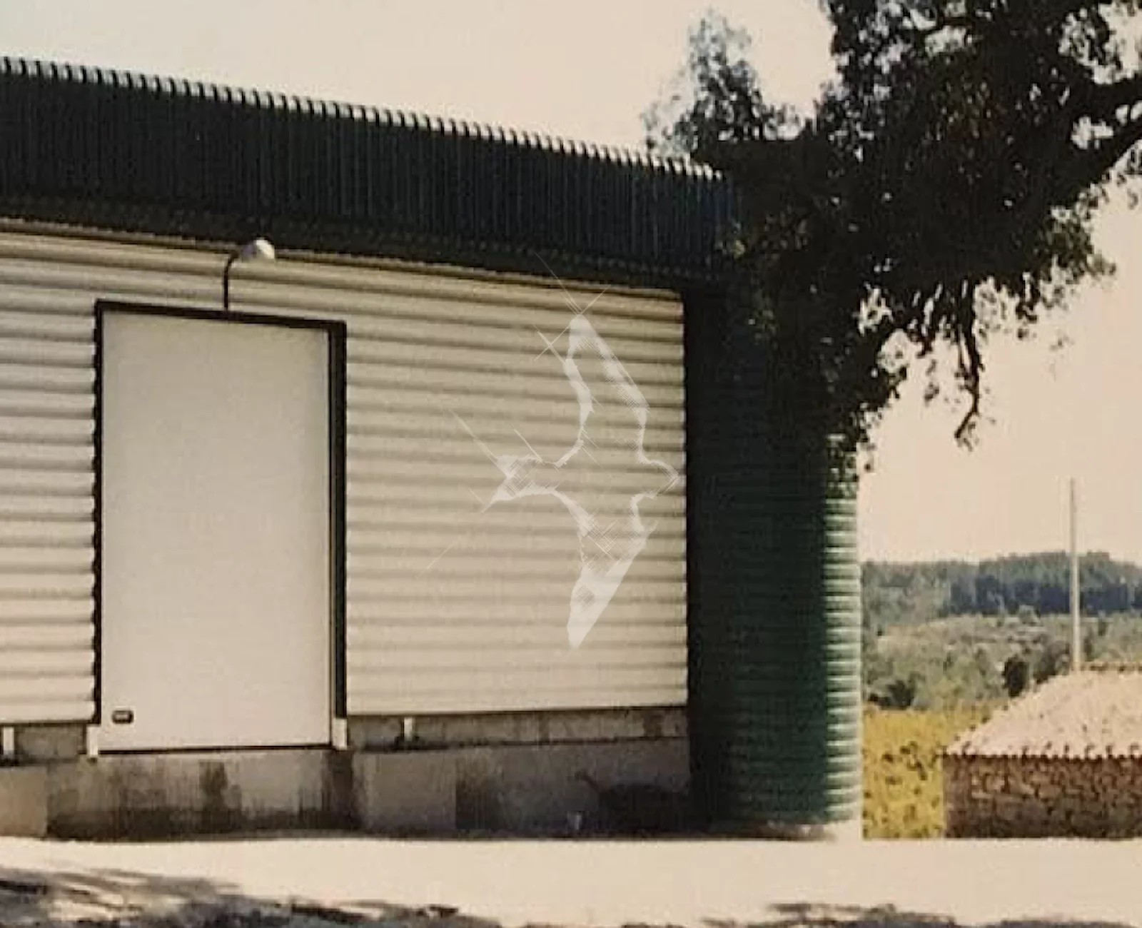 13.-M.png.webp