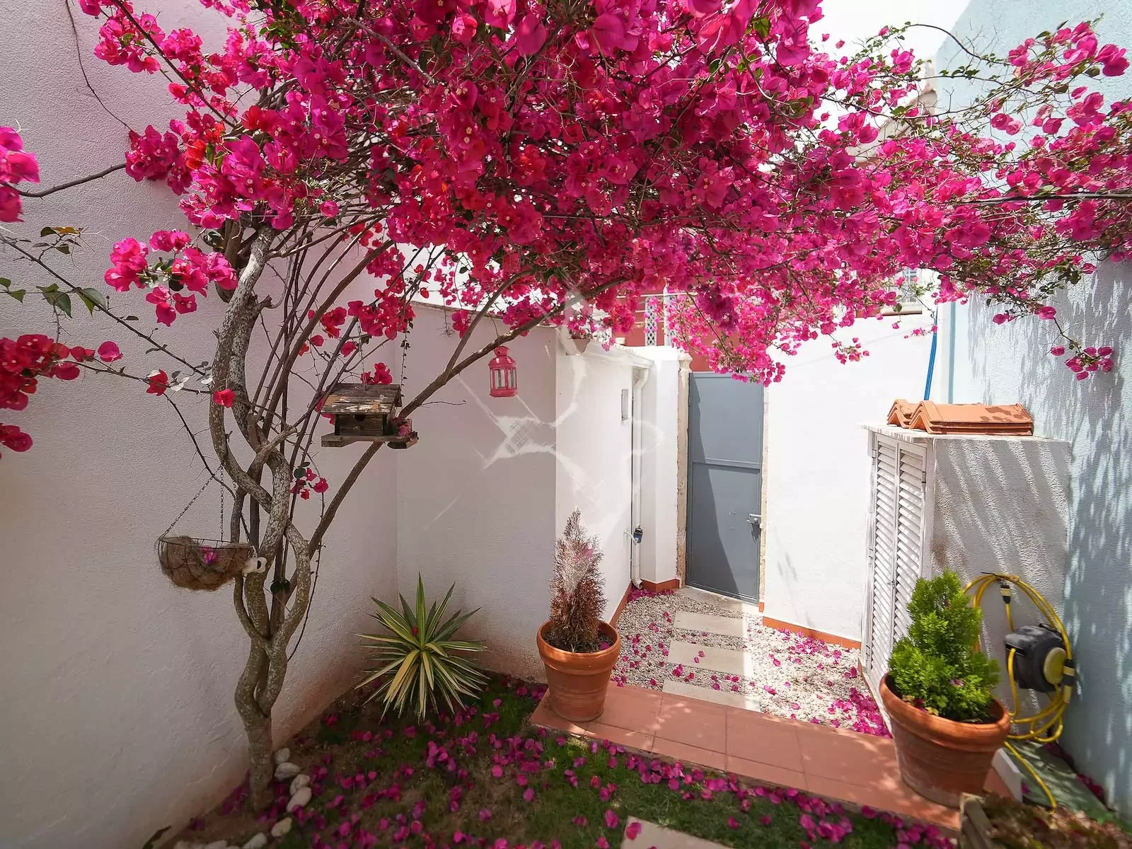4.-Entrada.jpg.webp