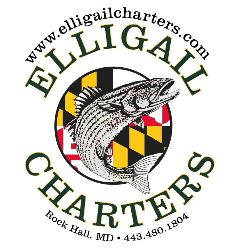 Elligail Charters